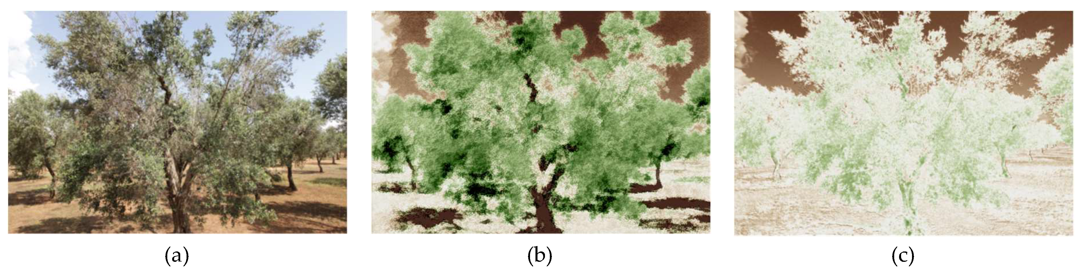 Remotesensing 11 00221 g008