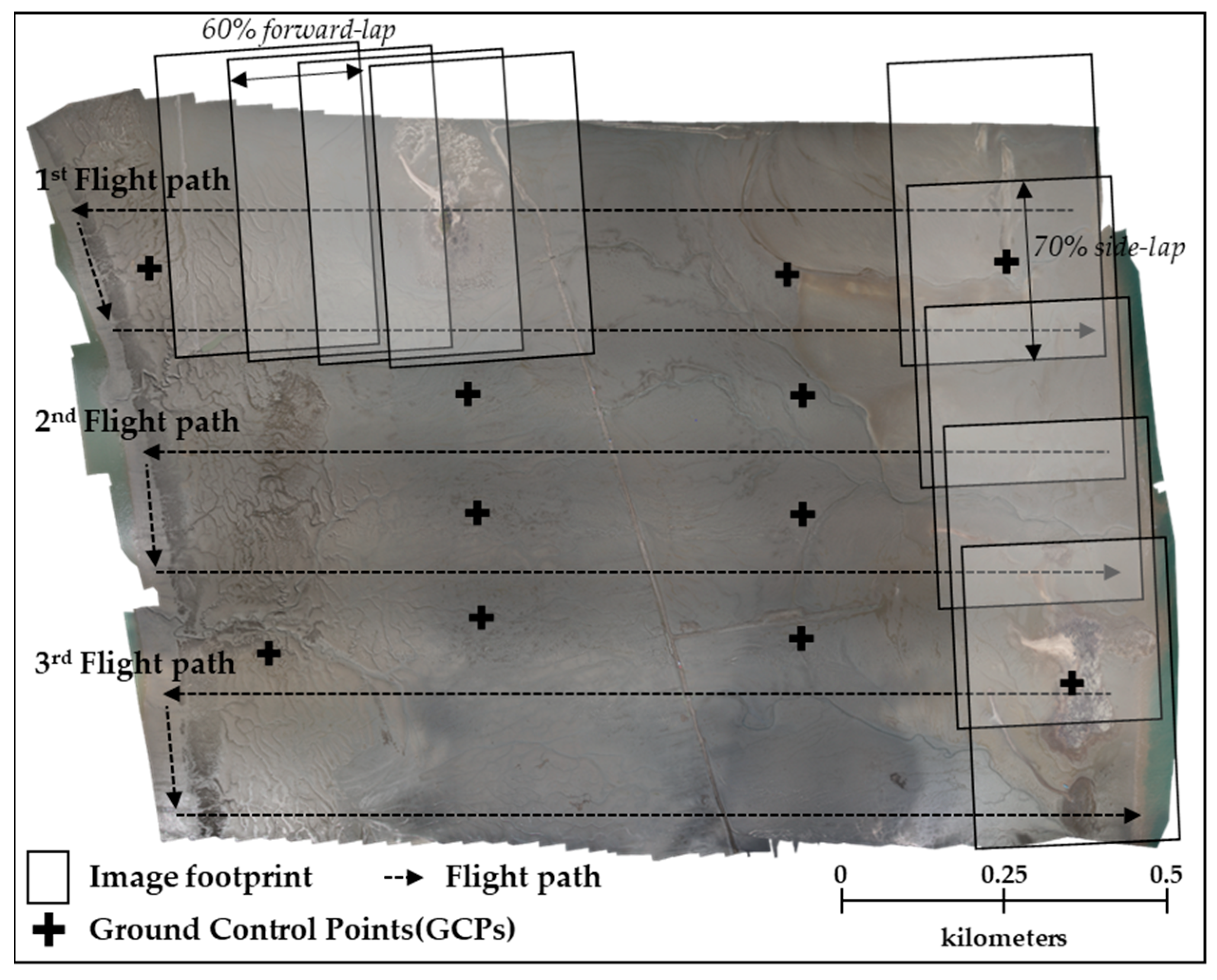 Remotesensing 11 00229 g002