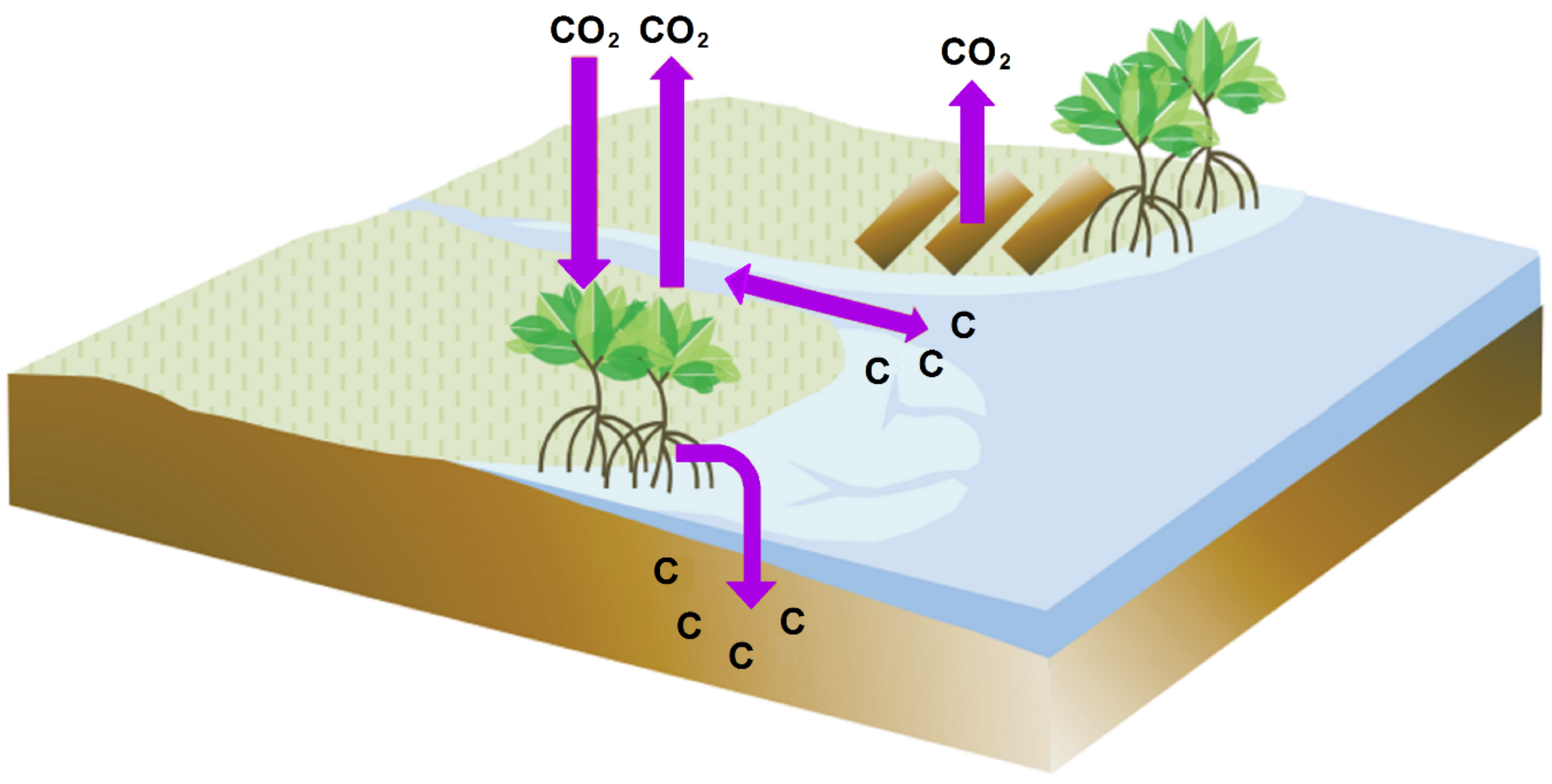Remotesensing 11 00230 g001 Remotesensing 11 00230 g001
