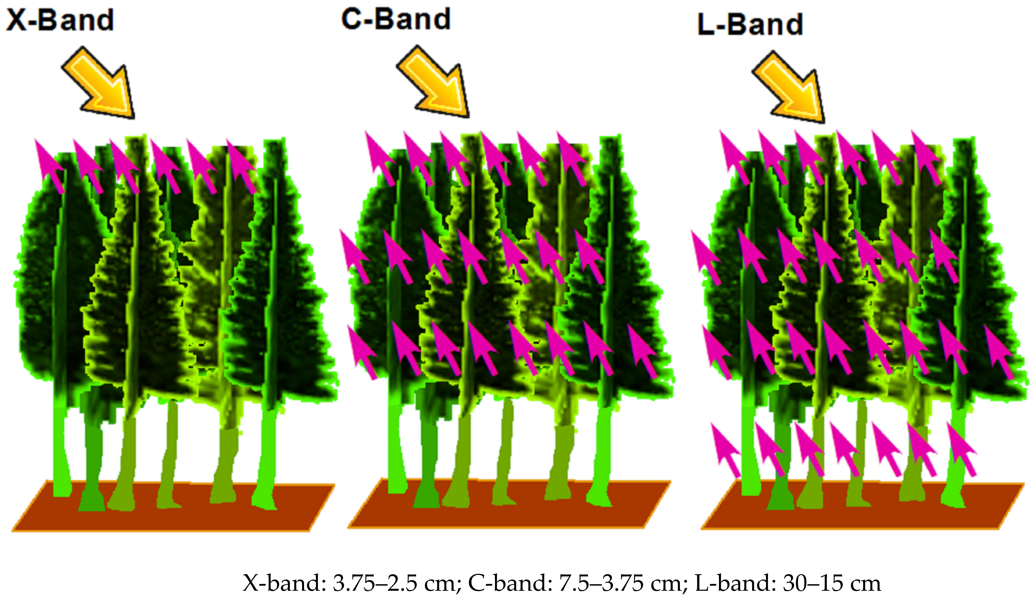 Remotesensing 11 00230 g002 Remotesensing 11 00230 g002