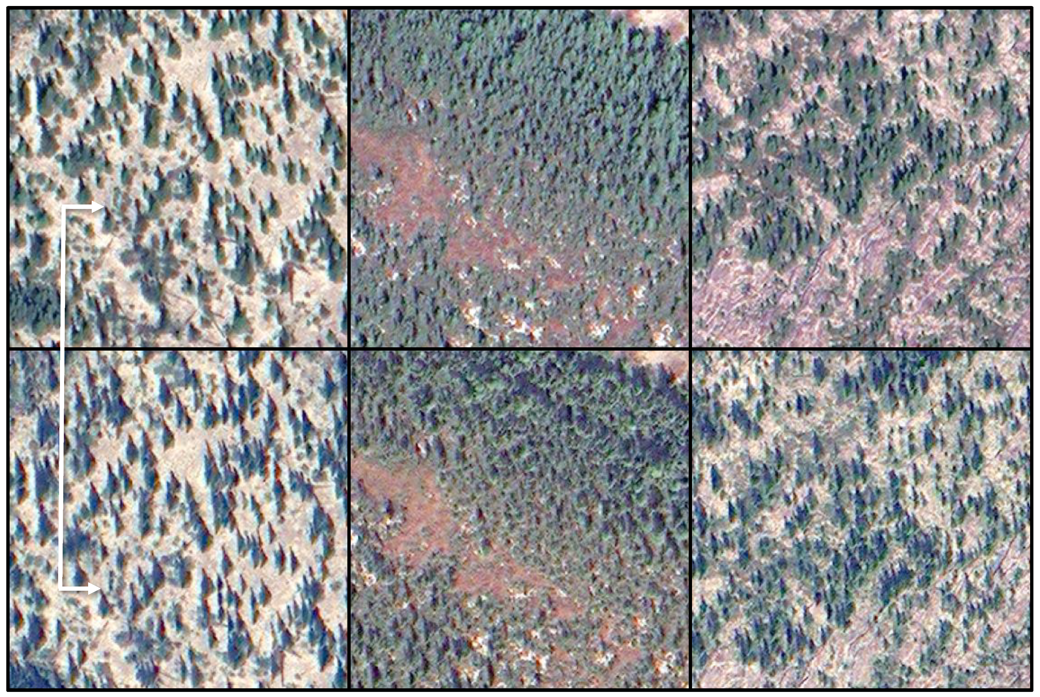 Remotesensing 11 00248 g005 Remotesensing 11 00248 g005