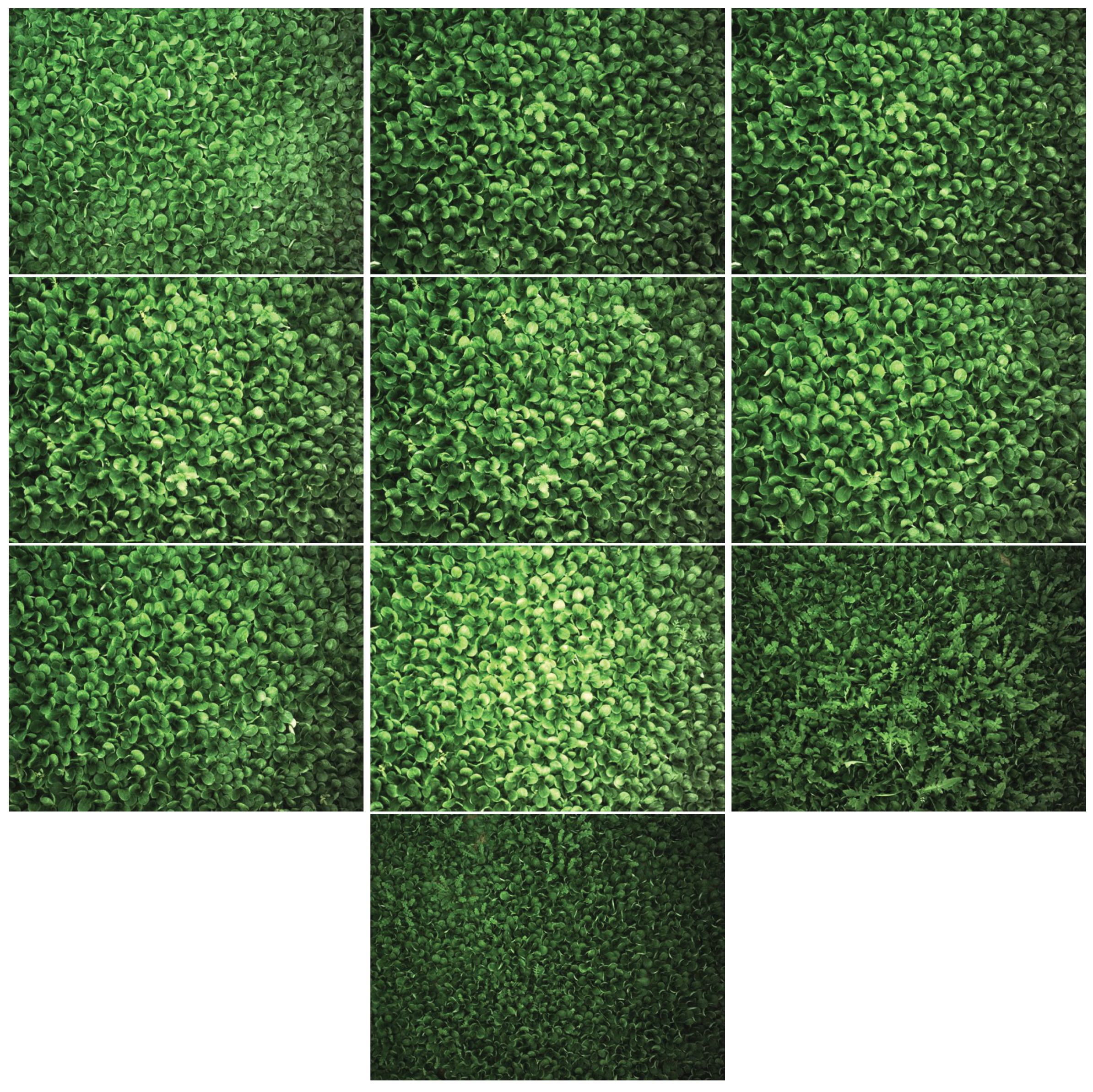 Remotesensing 11 00249 g002