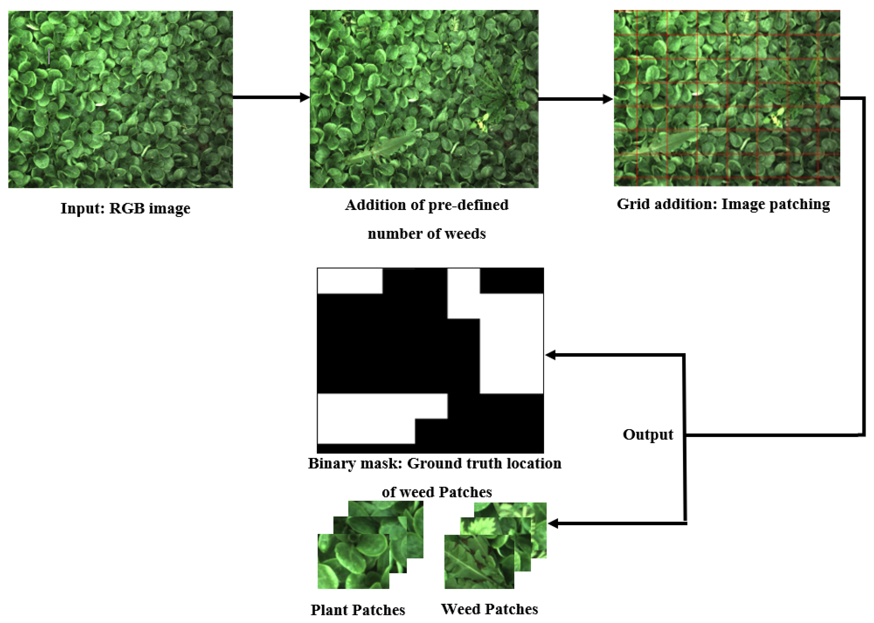 Remotesensing 11 00249 g004