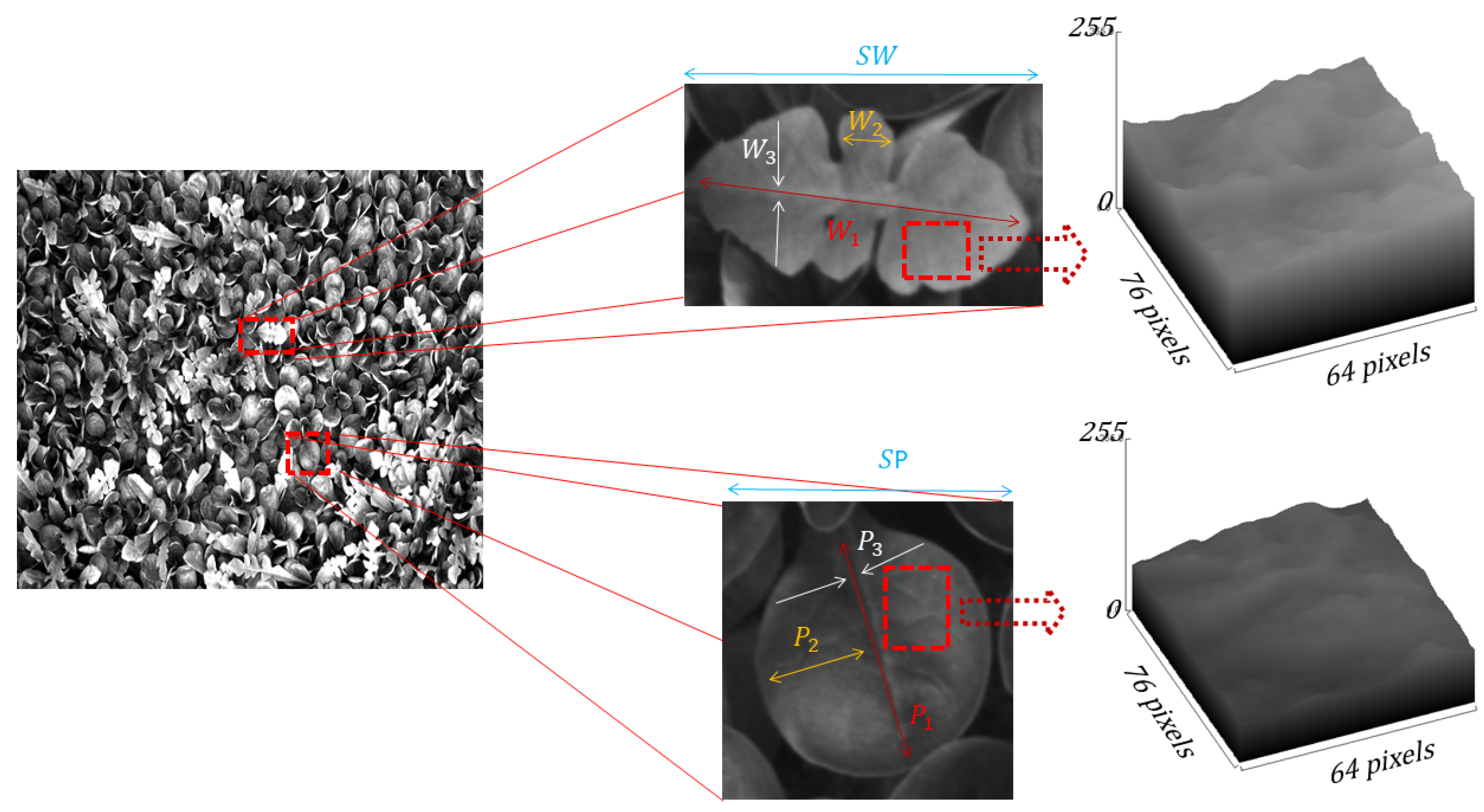 Remotesensing 11 00249 g005