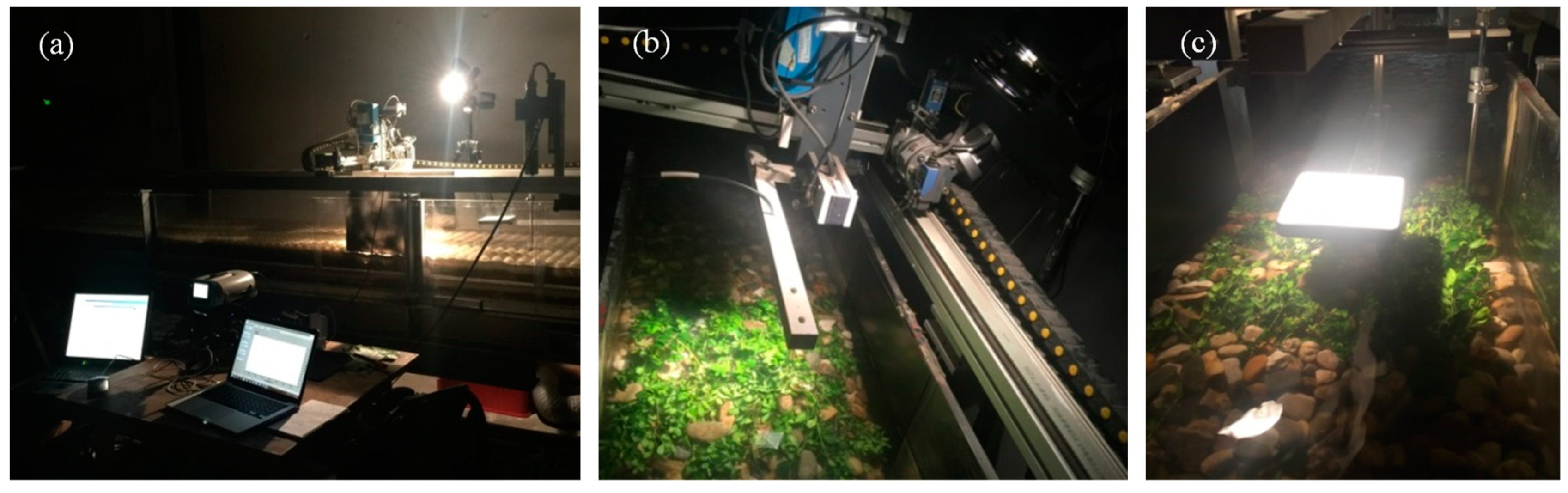 Remotesensing 11 00262 g003