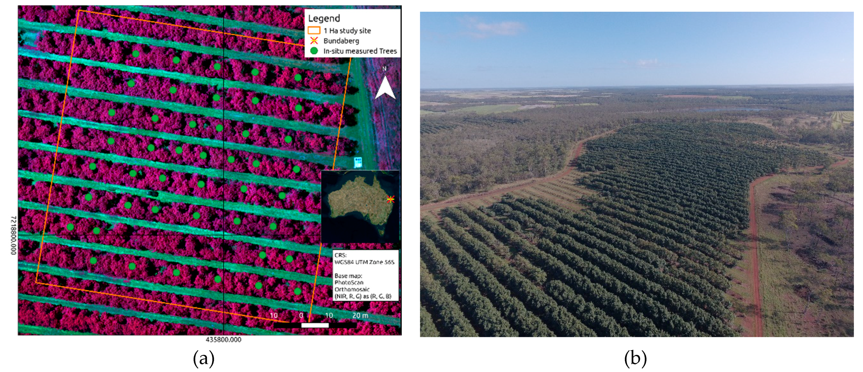 Remotesensing 11 00269 g001