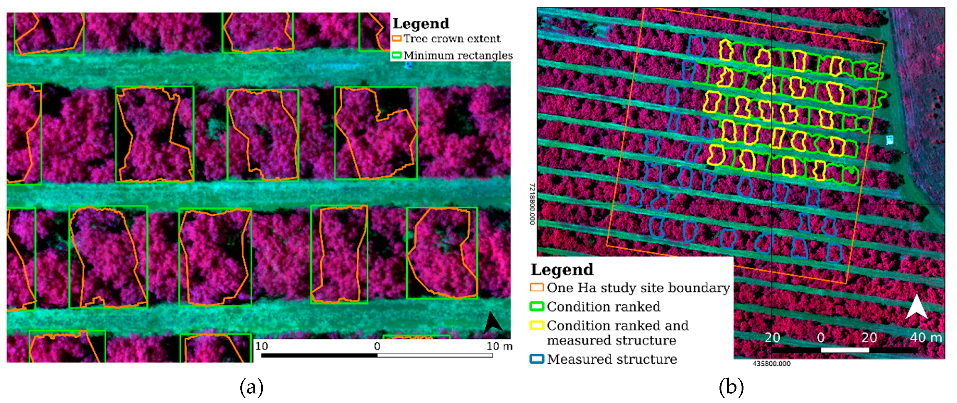 Remotesensing 11 00269 g006