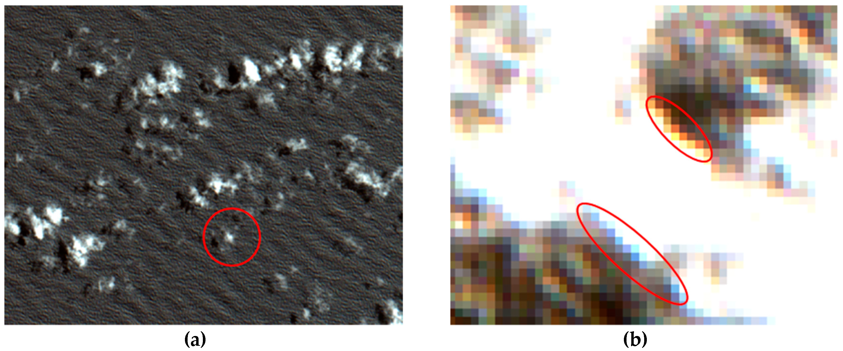 Remotesensing 11 00293 g009