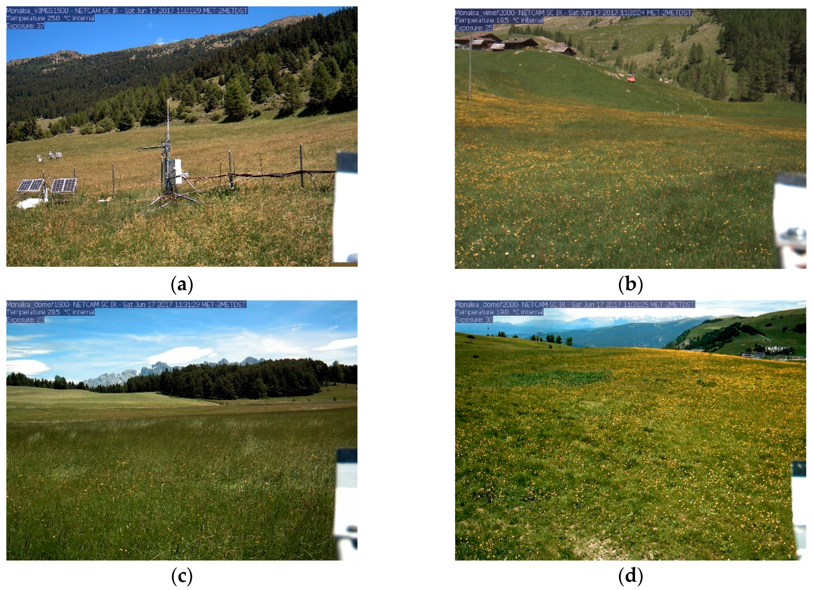 Remotesensing 11 00296 g002