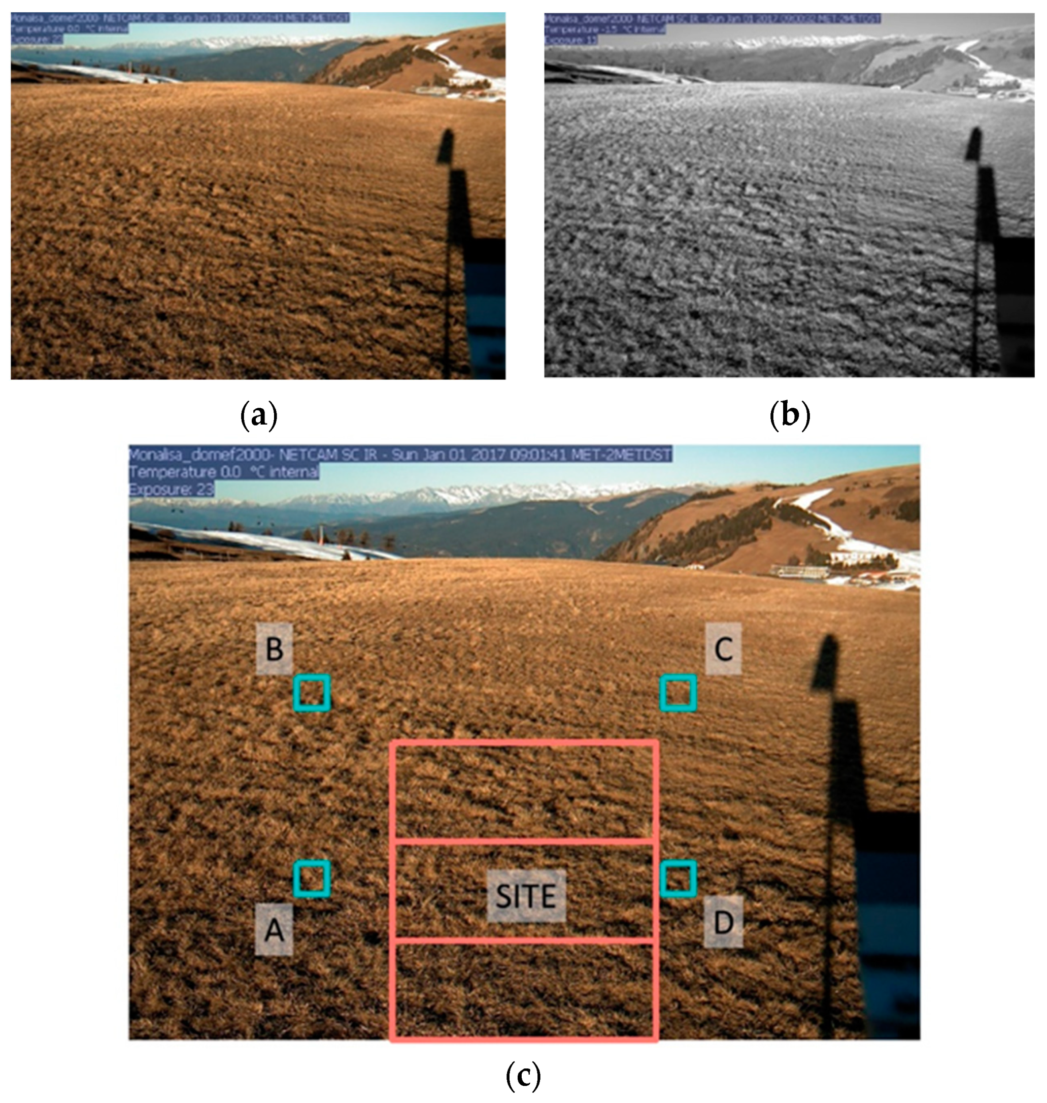 Remotesensing 11 00296 g004