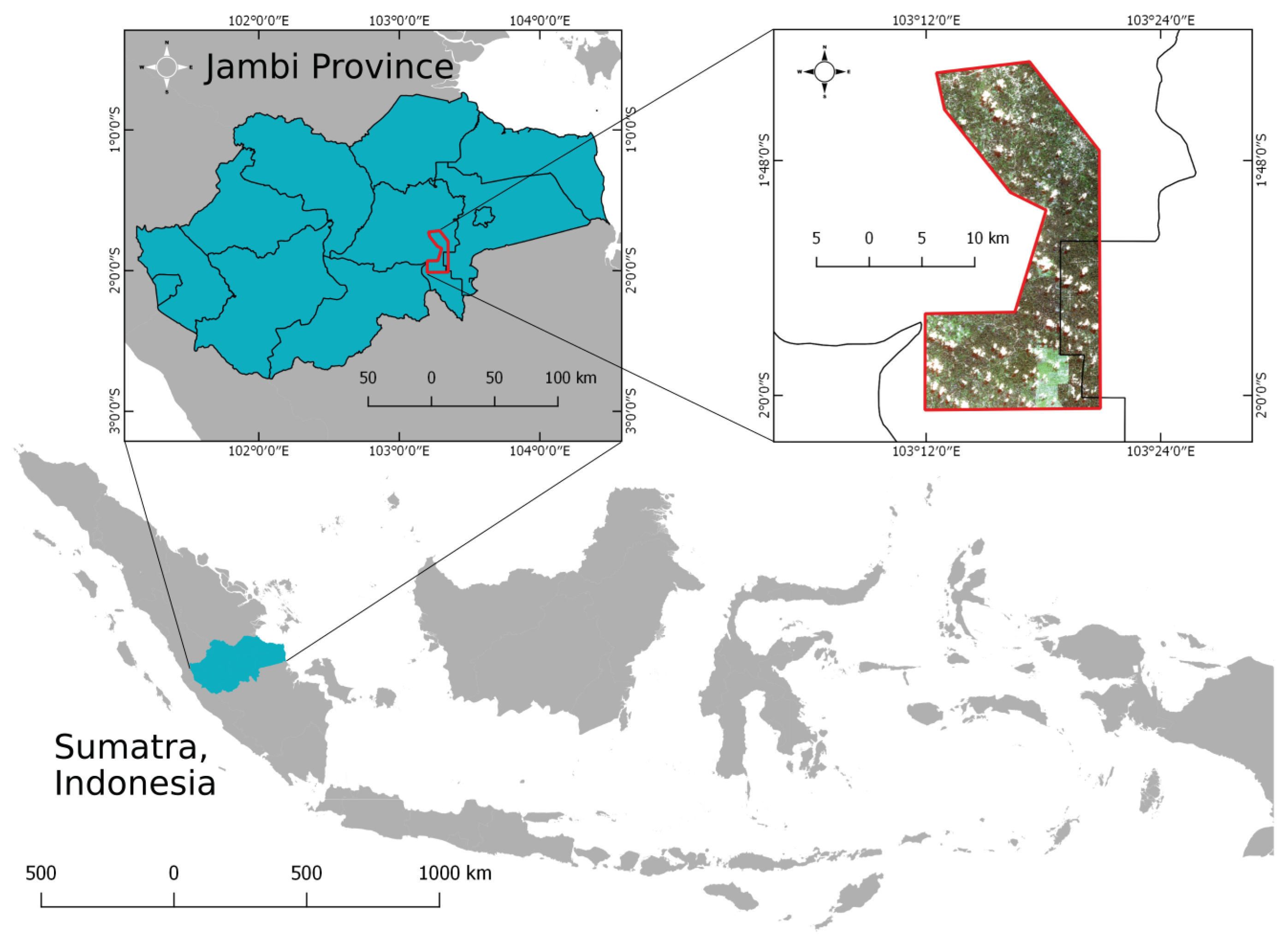 Remotesensing 11 00312 g001