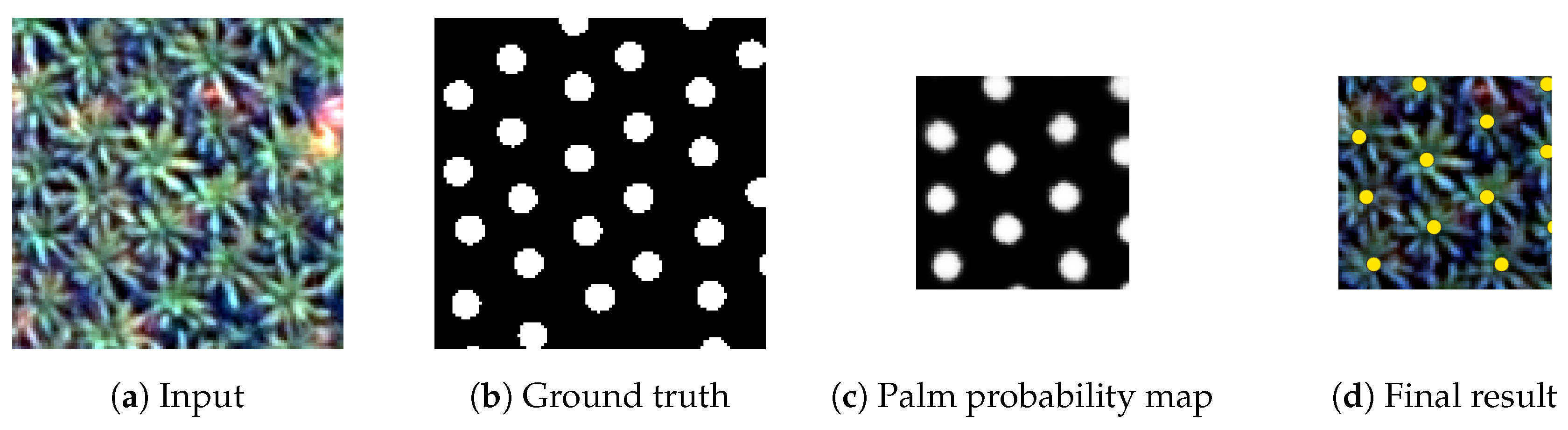 Remotesensing 11 00312 g005