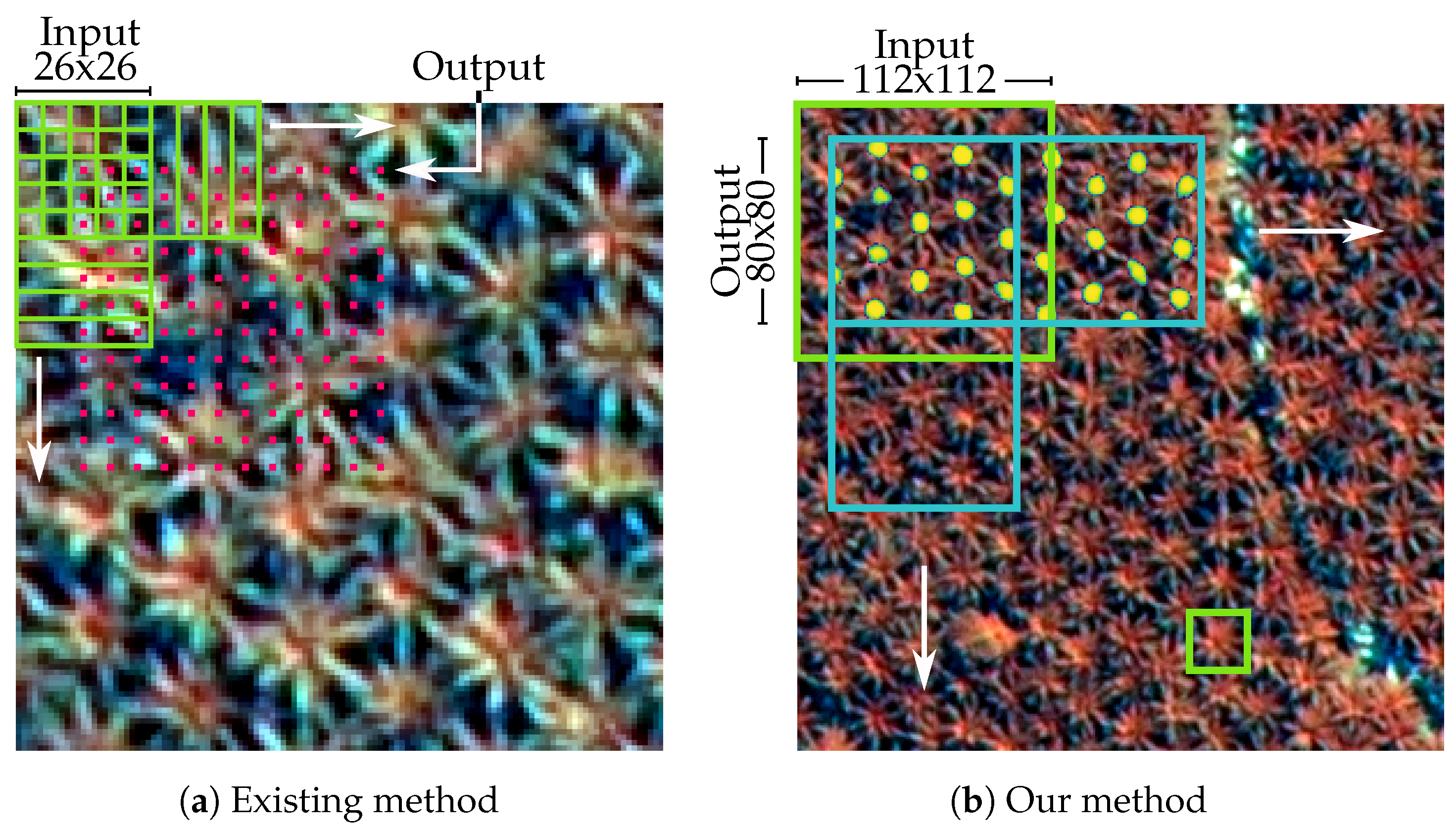 Remotesensing 11 00312 g006