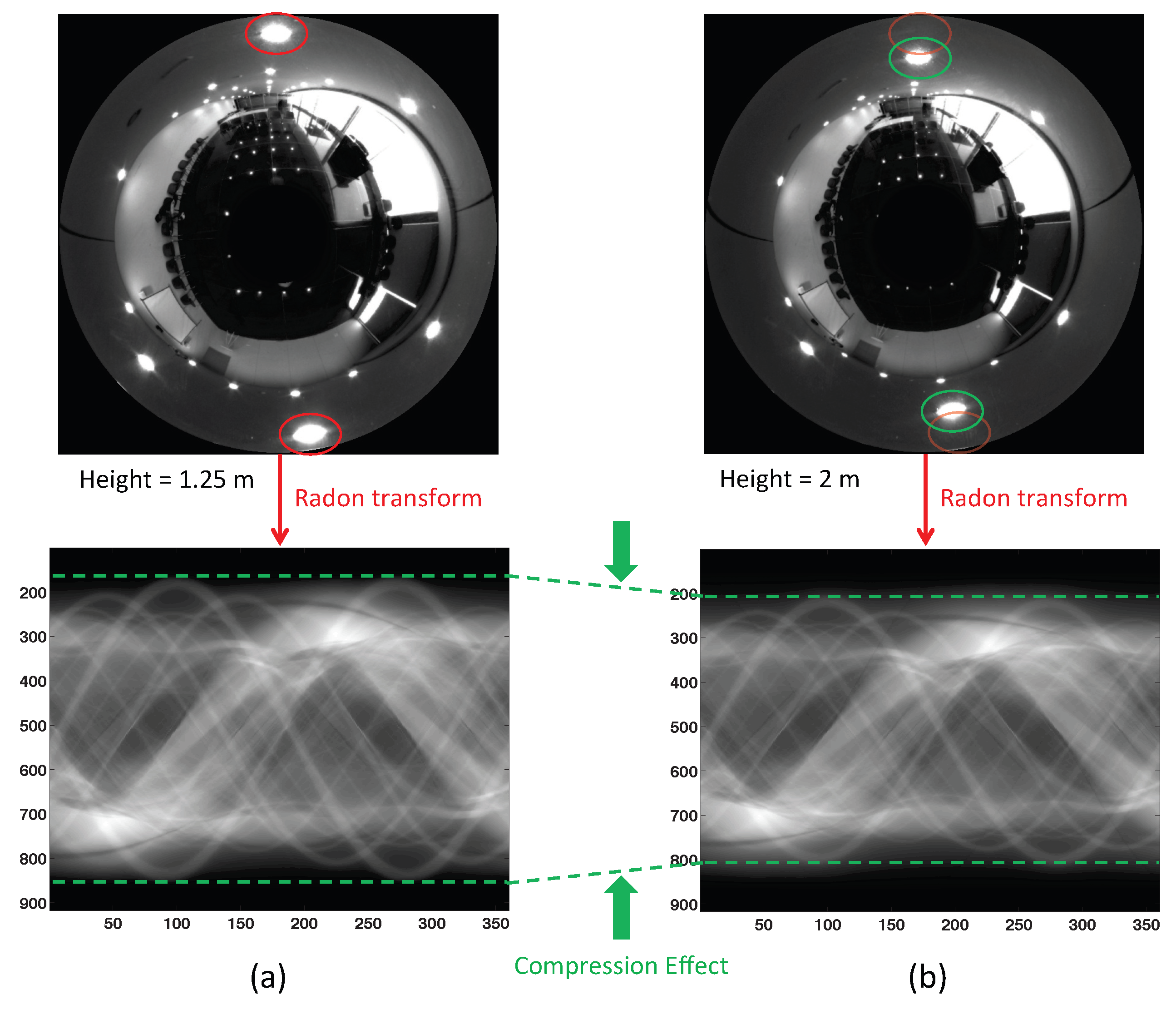 Remotesensing 11 00323 g003