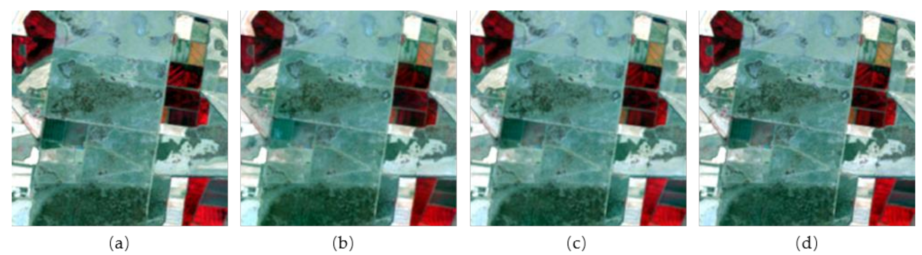 Remotesensing 11 00324 g008