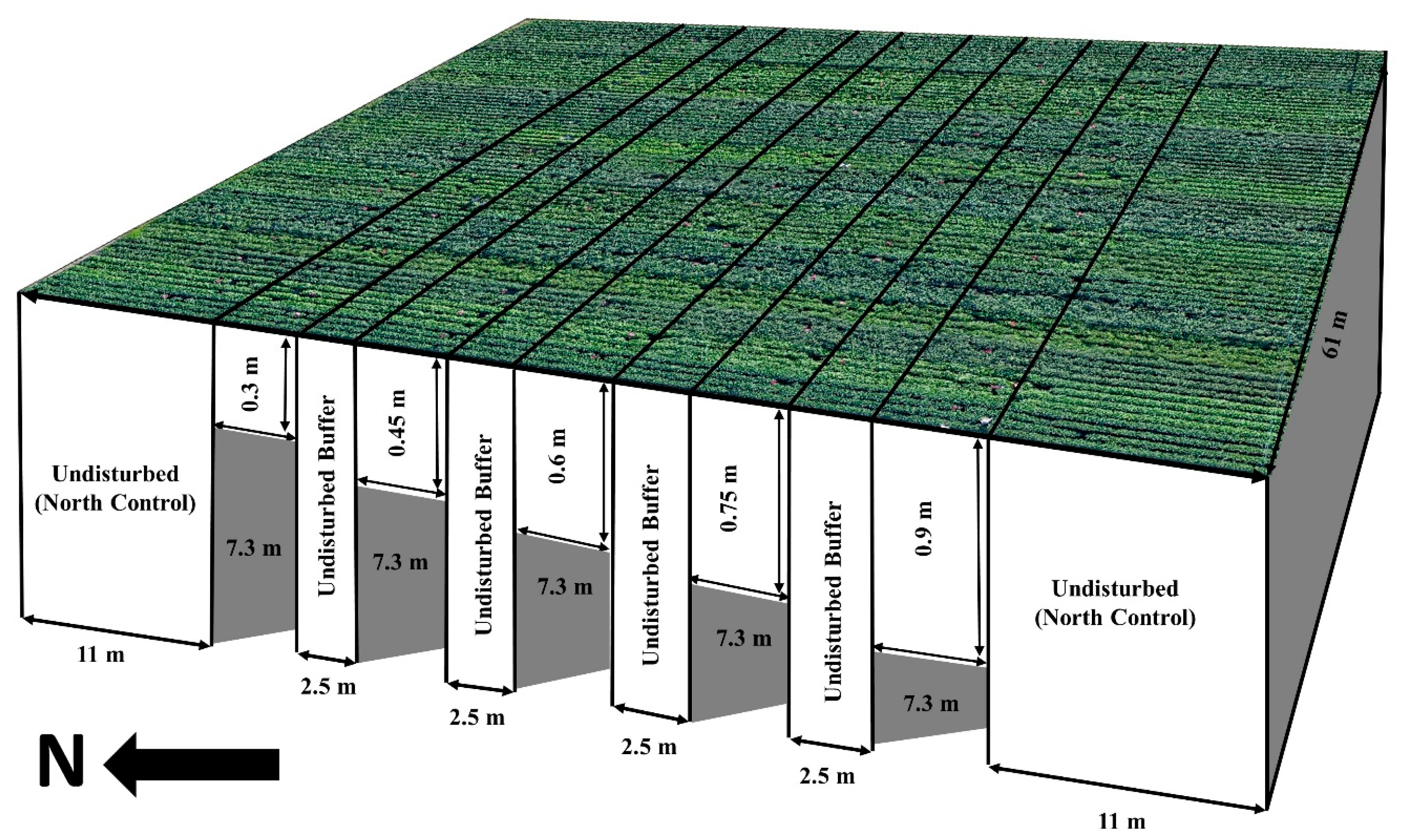 Remotesensing 11 00330 g003