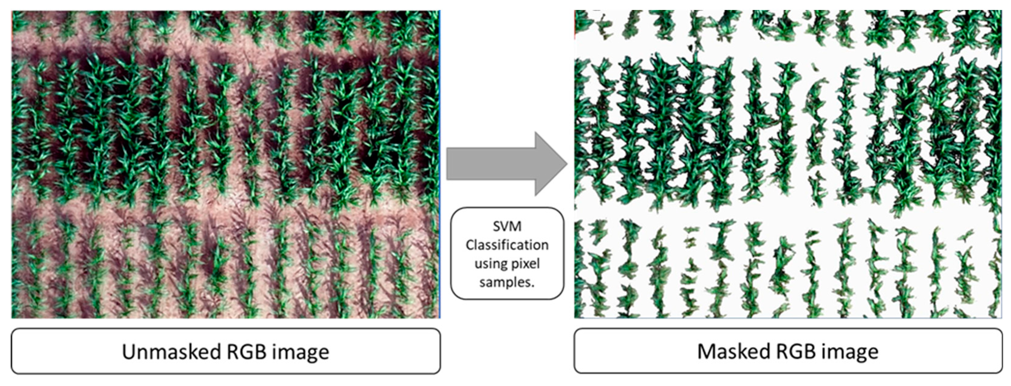 Remotesensing 11 00330 g006