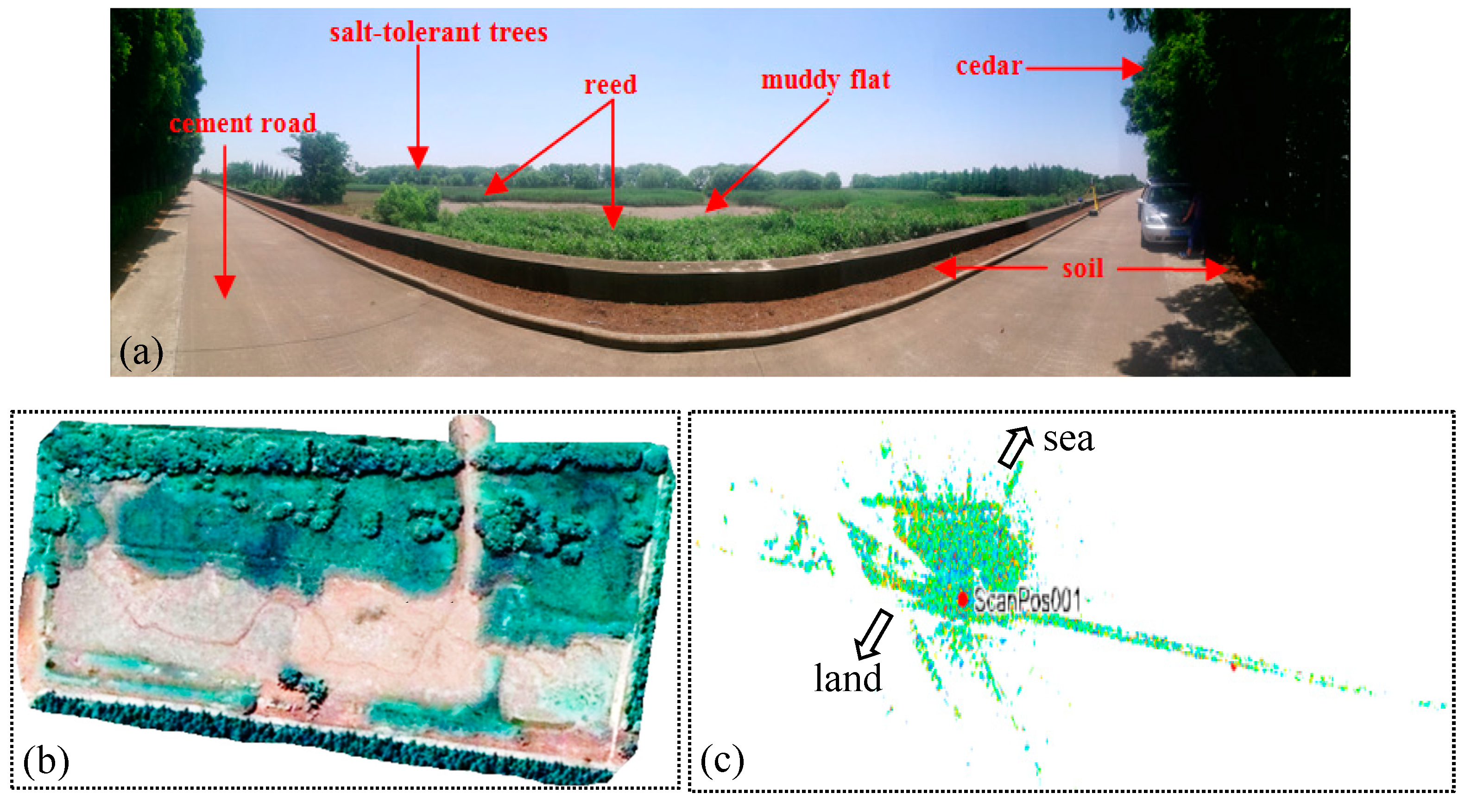 Remotesensing 11 00331 g006