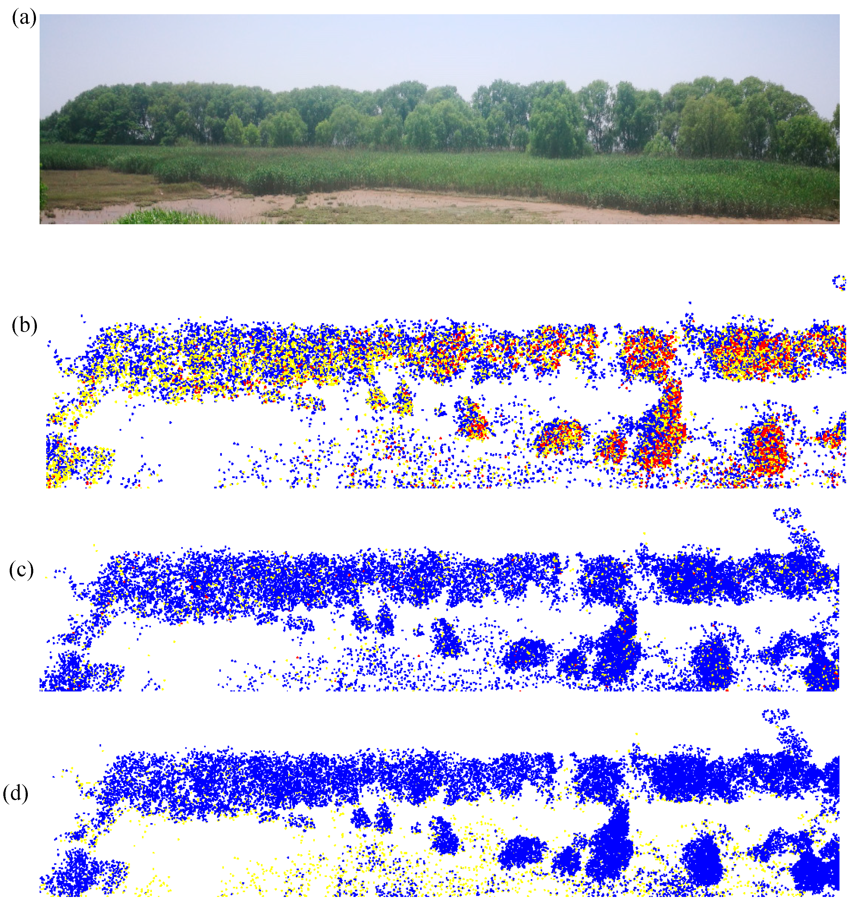 Remotesensing 11 00331 g013