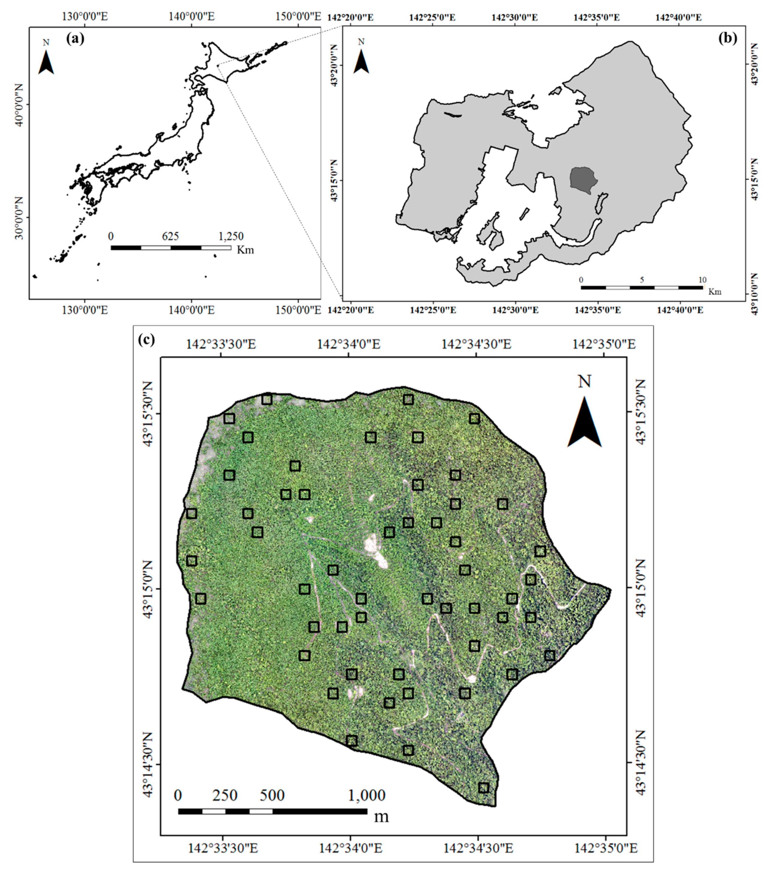 Remotesensing 11 00338 g001