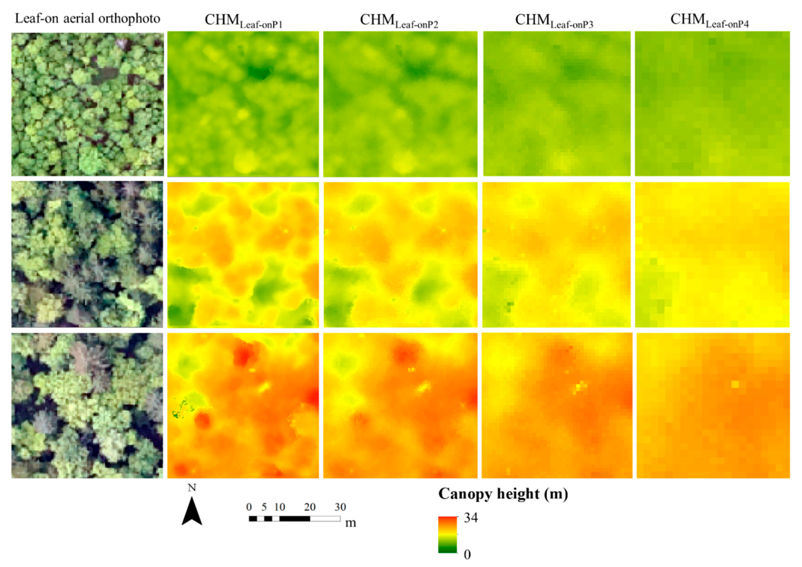 Remotesensing 11 00338 g002
