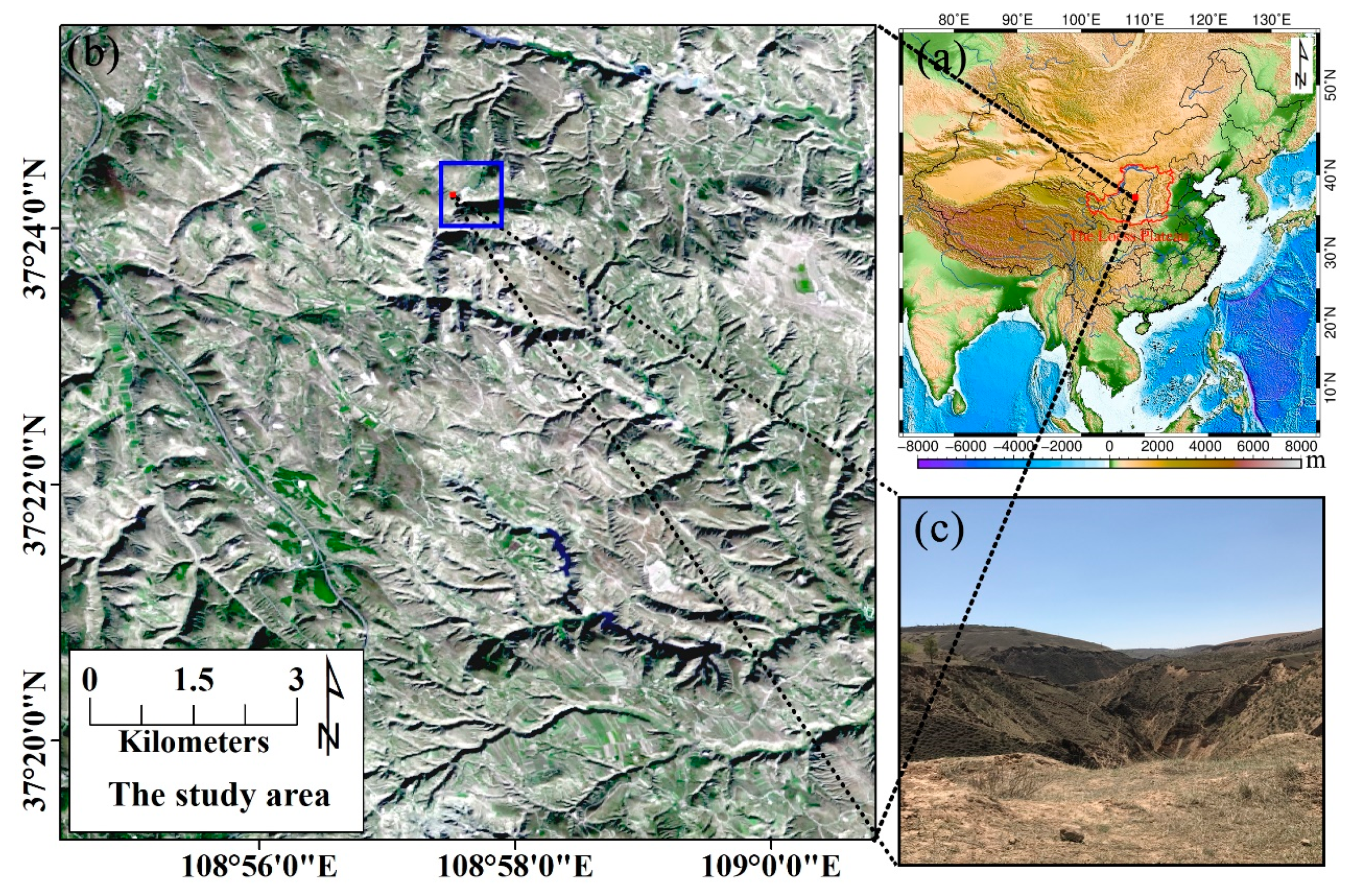 Remotesensing 11 00349 g001