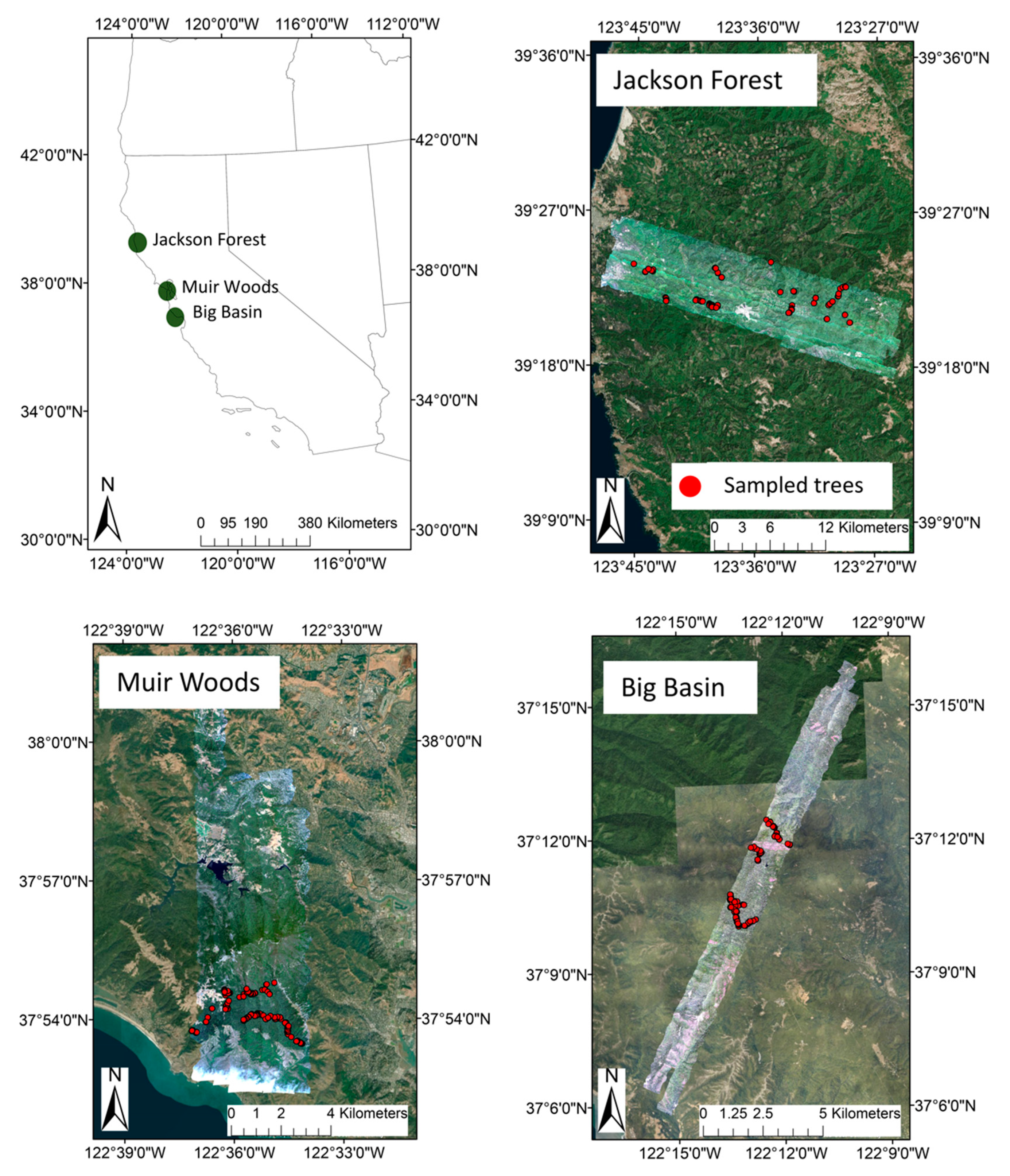 Remotesensing 11 00351 g001