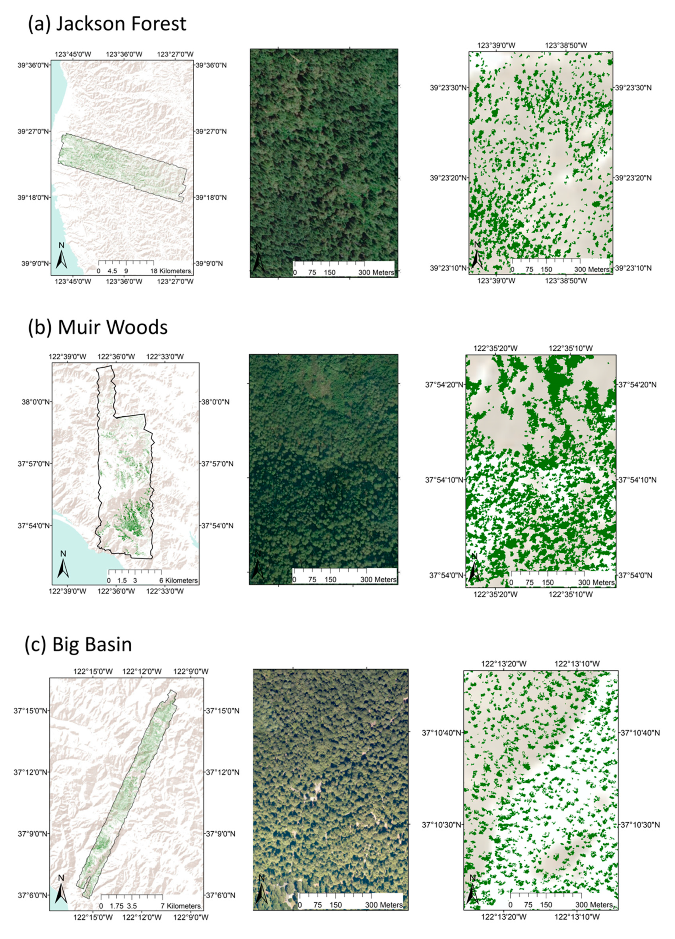Remotesensing 11 00351 g006