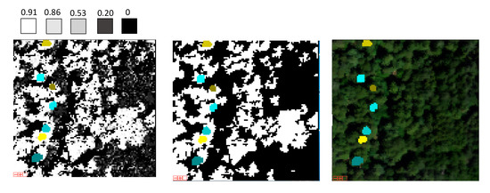 Remotesensing 11 00351 g0a2