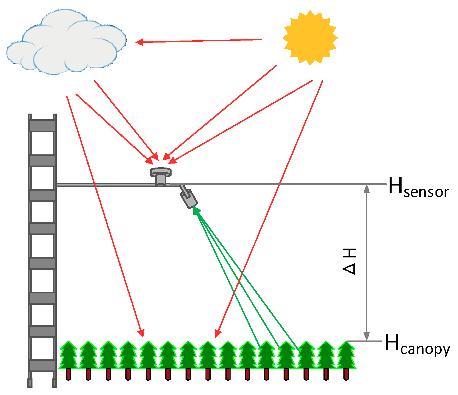 Remotesensing 11 00355 g003