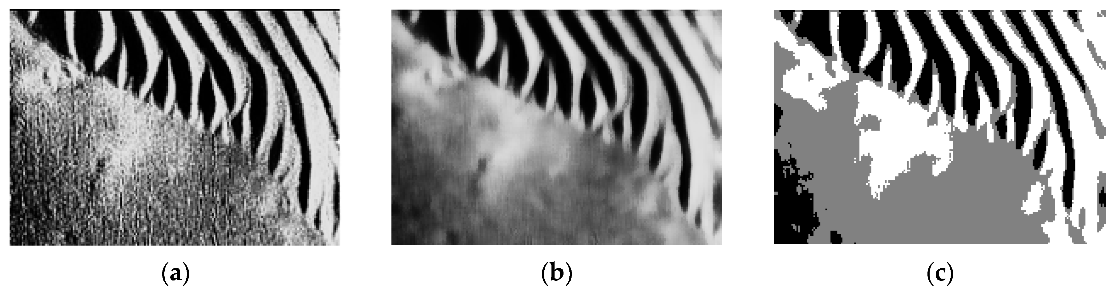 Remotesensing 11 00396 g018