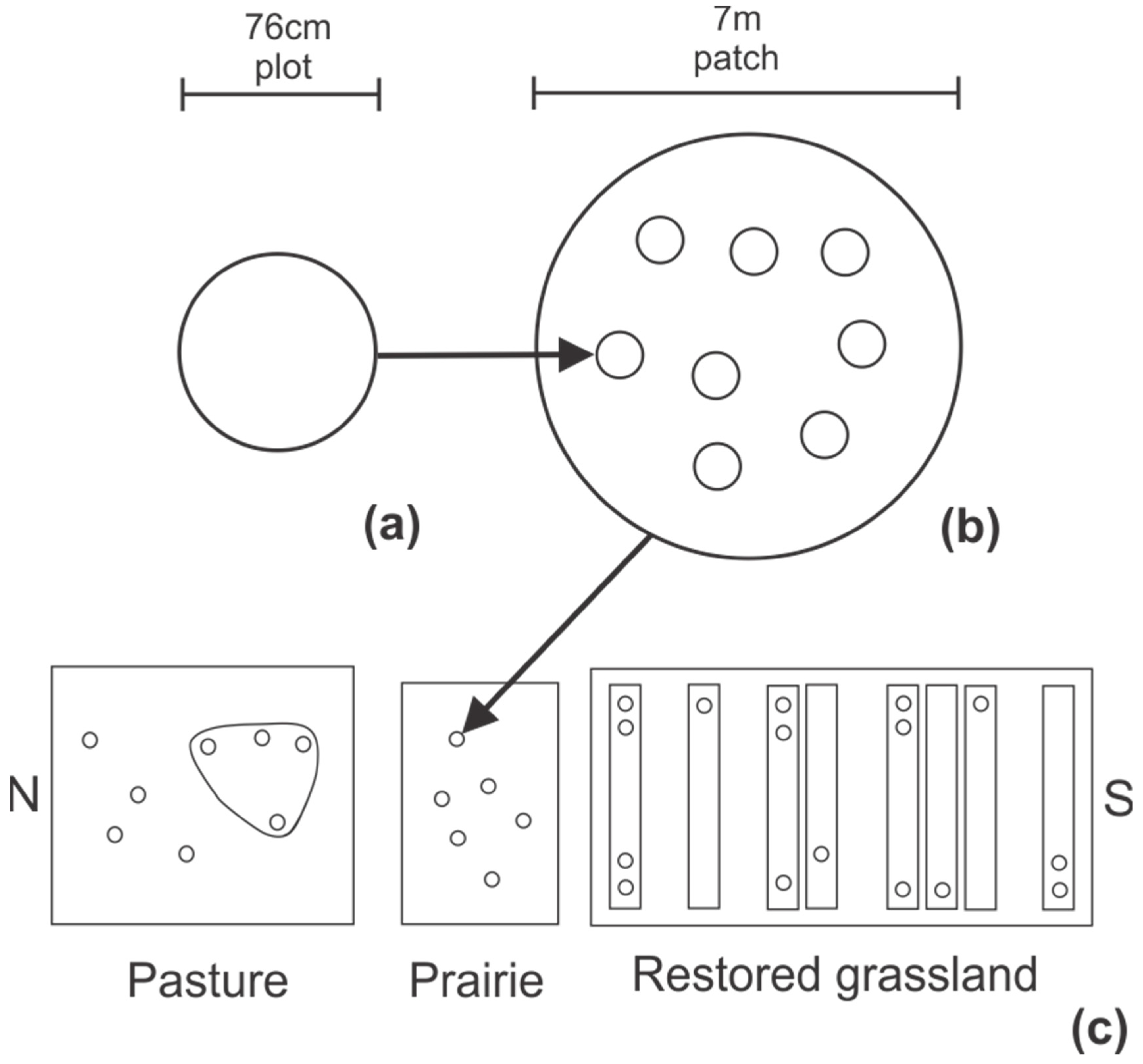 Remotesensing 11 00458 g001