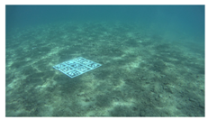 Remotesensing 11 00459 i008