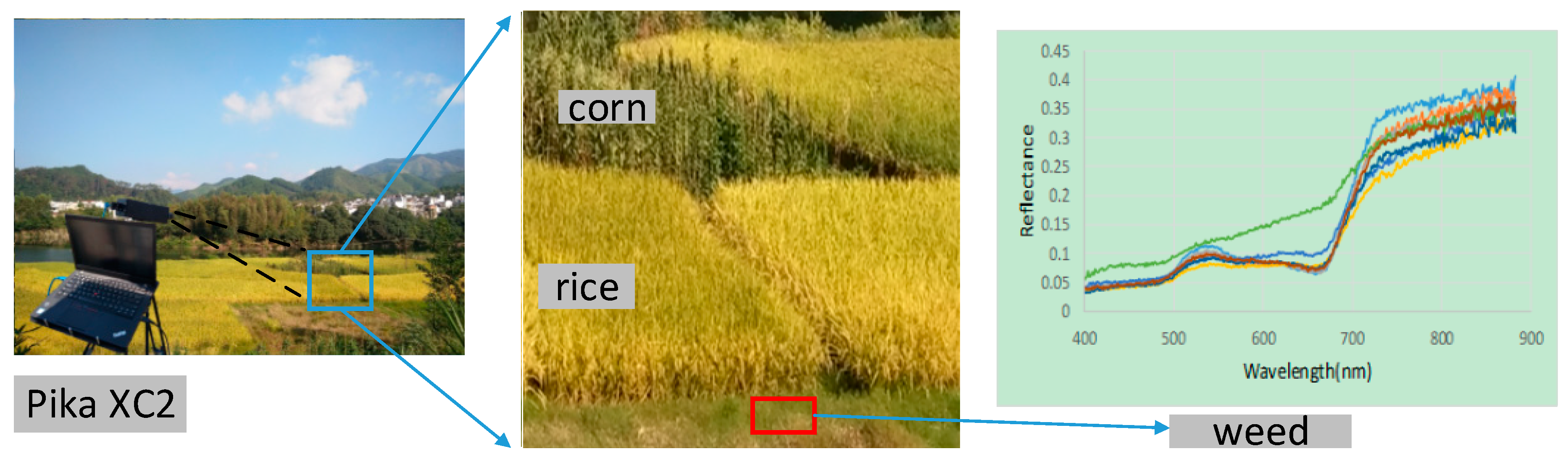 Remotesensing 11 00500 g002