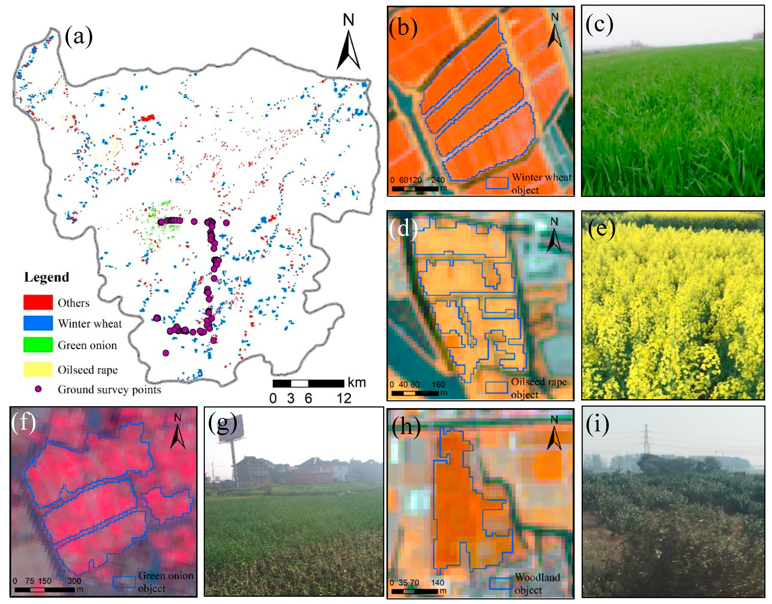 Remotesensing 11 00514 g002