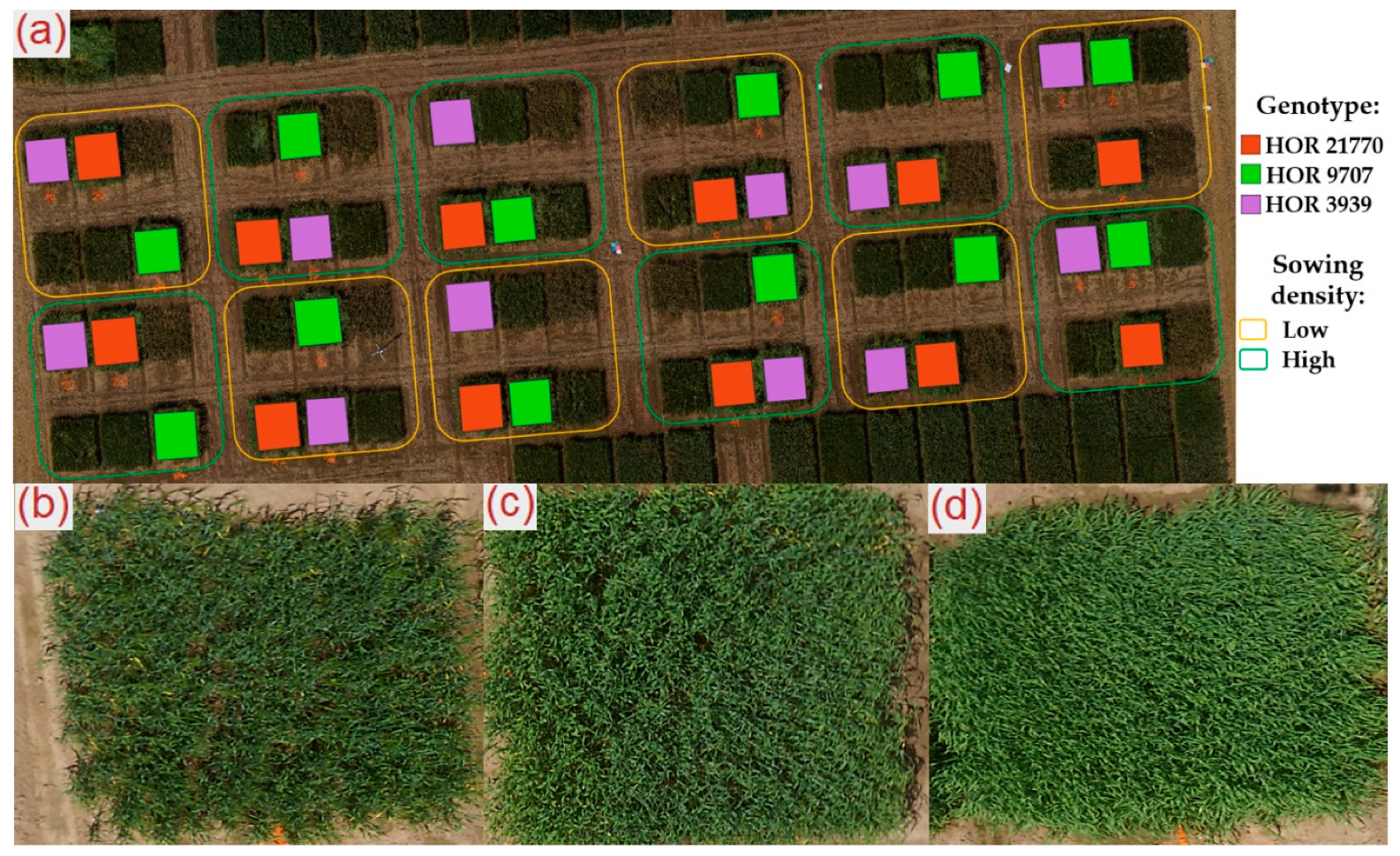 Remotesensing 11 00515 g001