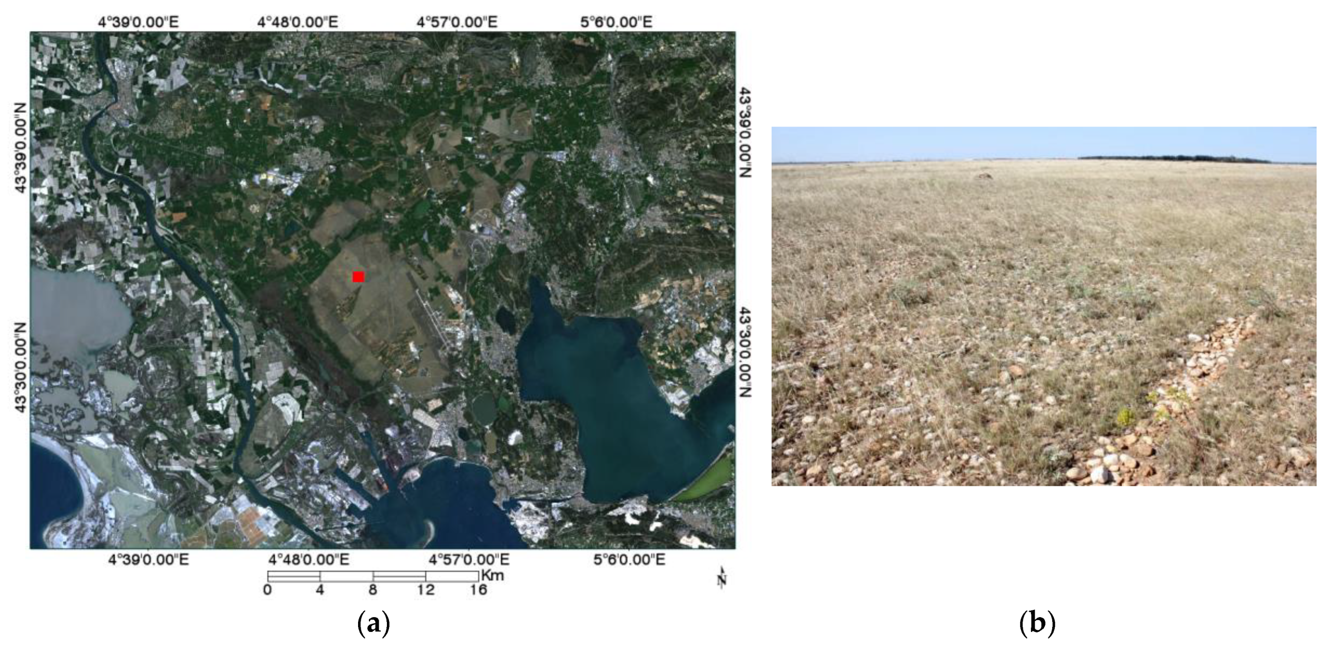 Remotesensing 11 00541 g004