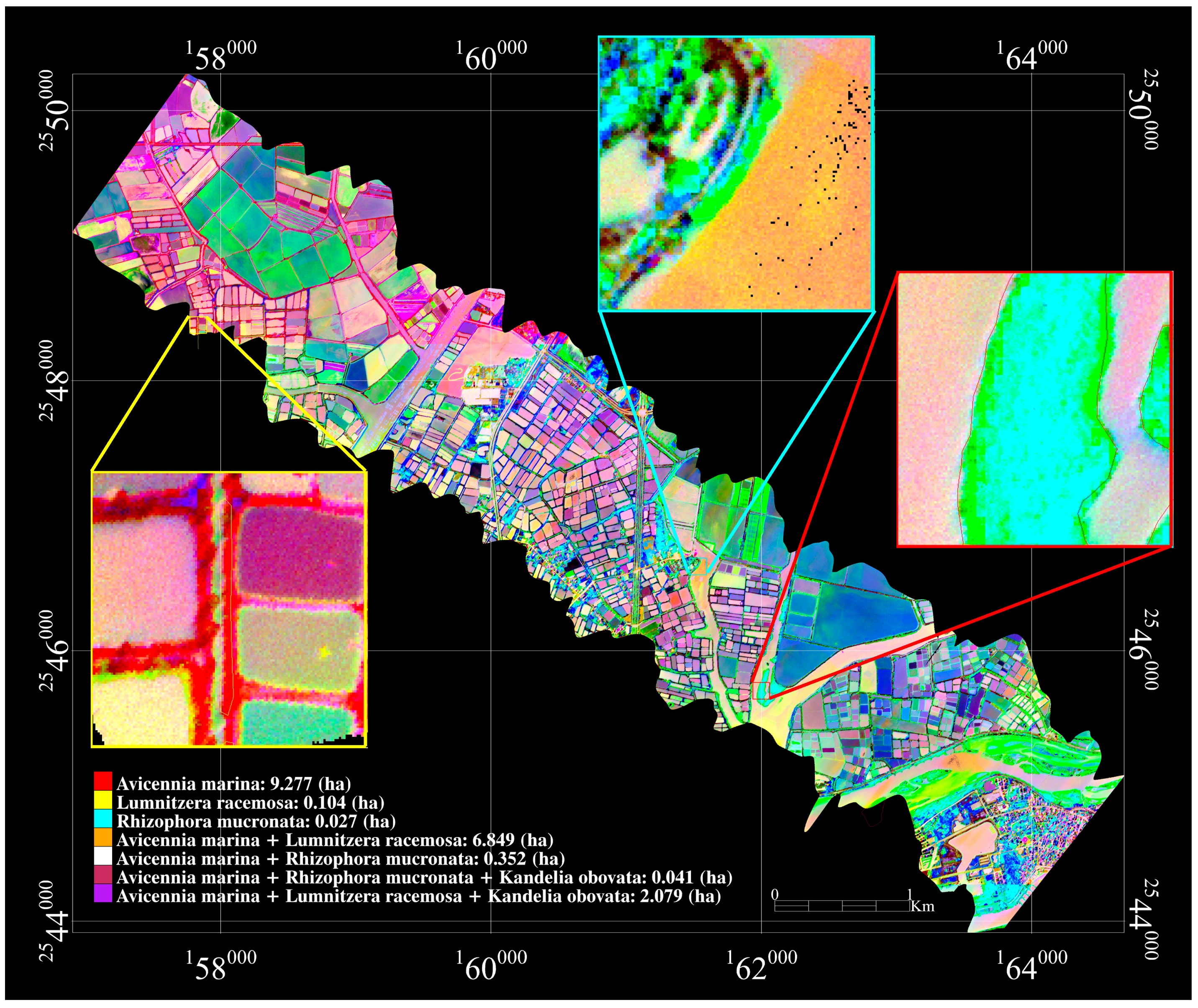 Remotesensing 11 00592 g012
