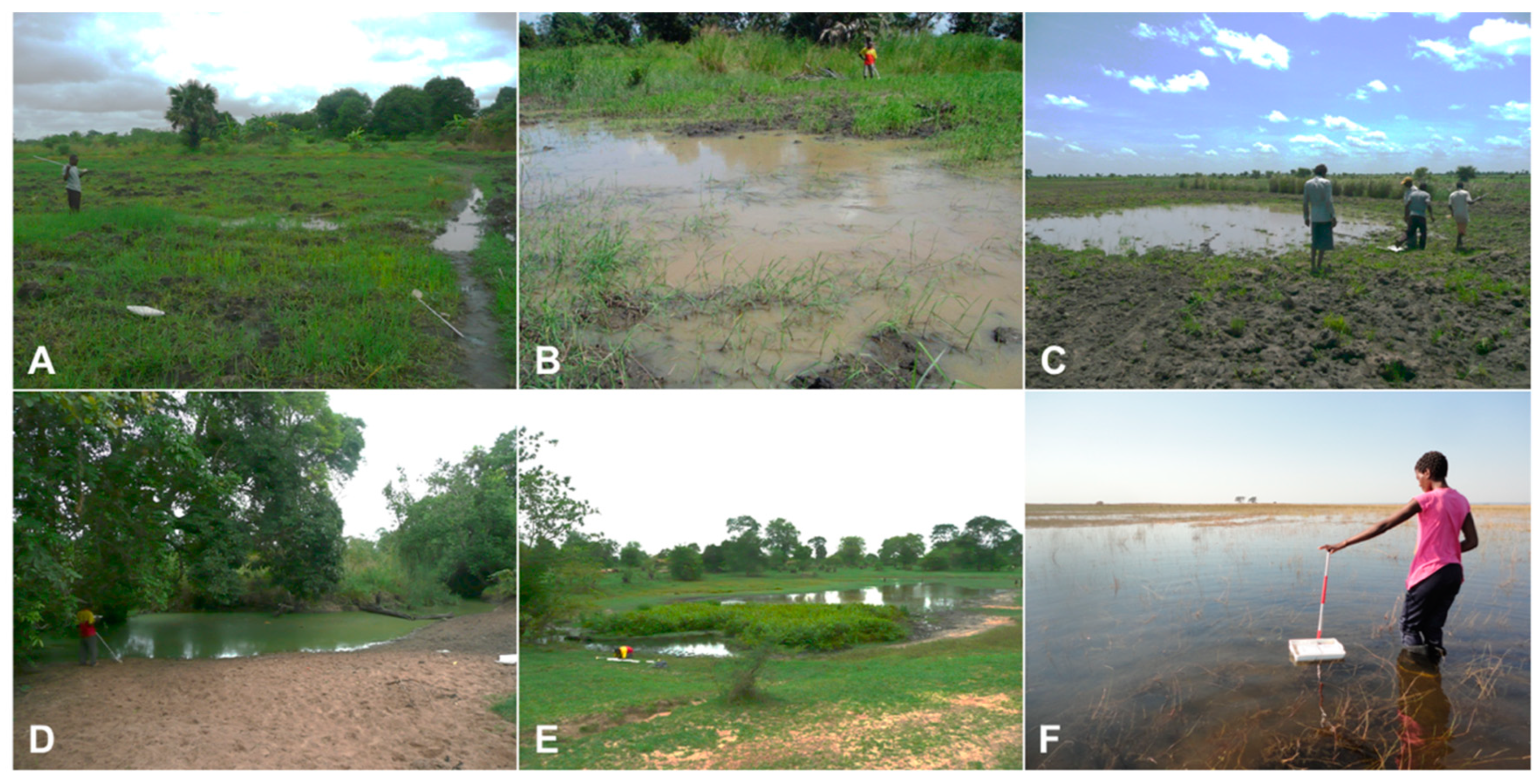 Remotesensing 11 00593 g001