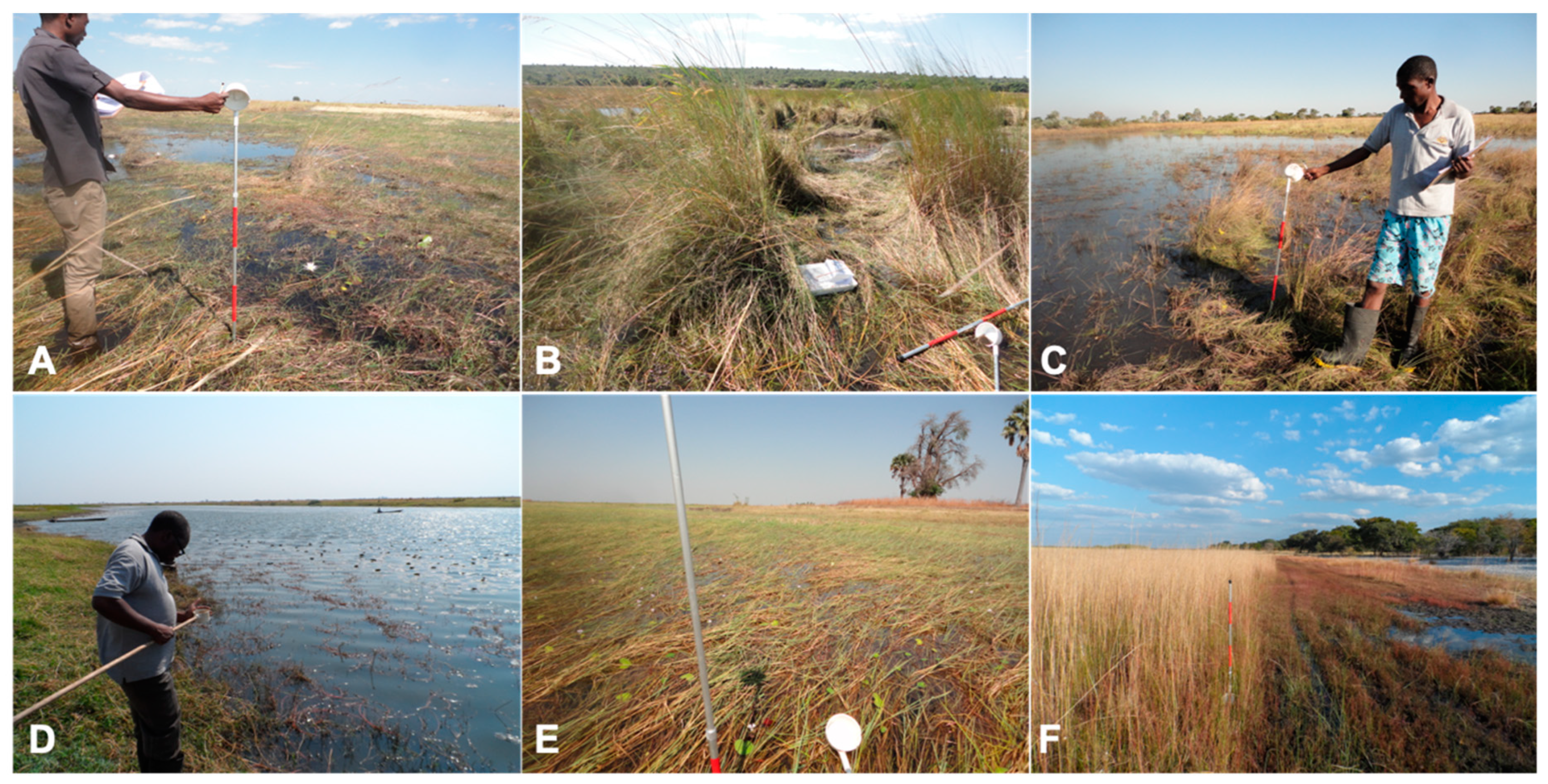 Remotesensing 11 00593 g003