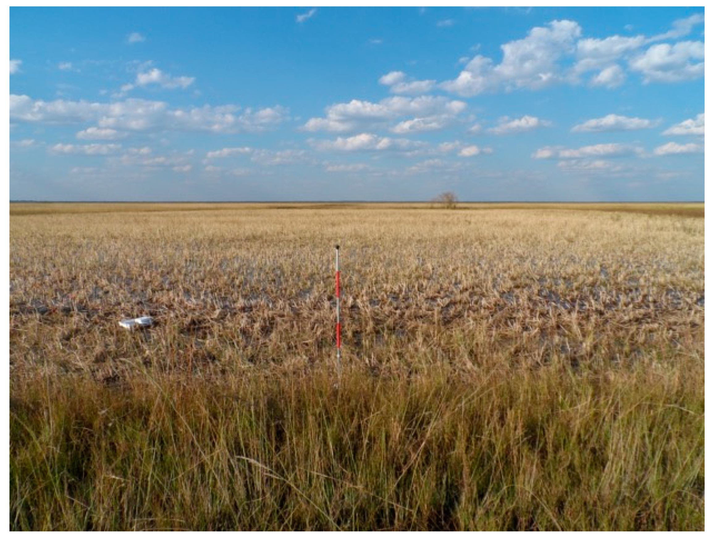 Remotesensing 11 00593 g009