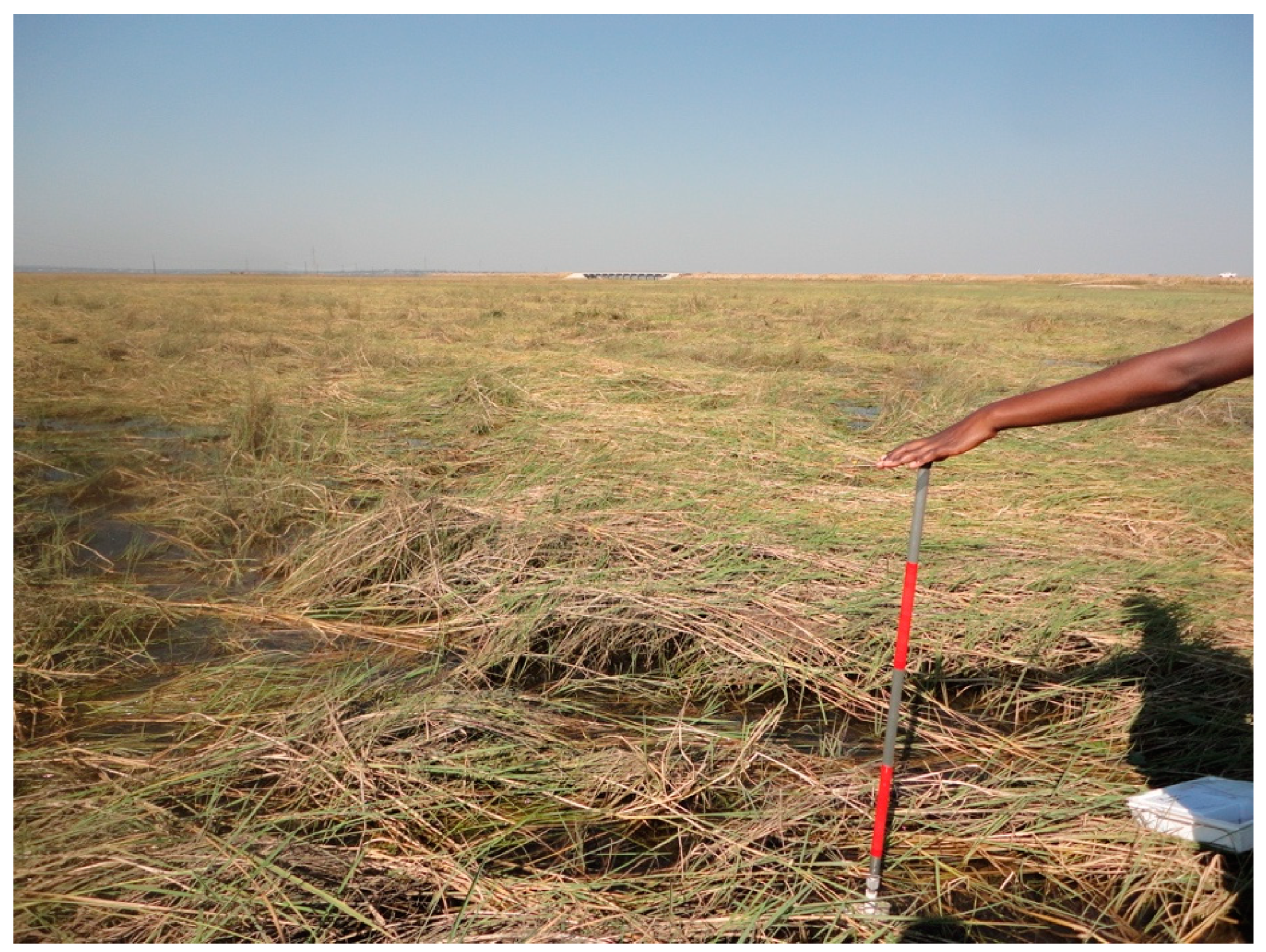 Remotesensing 11 00593 g011