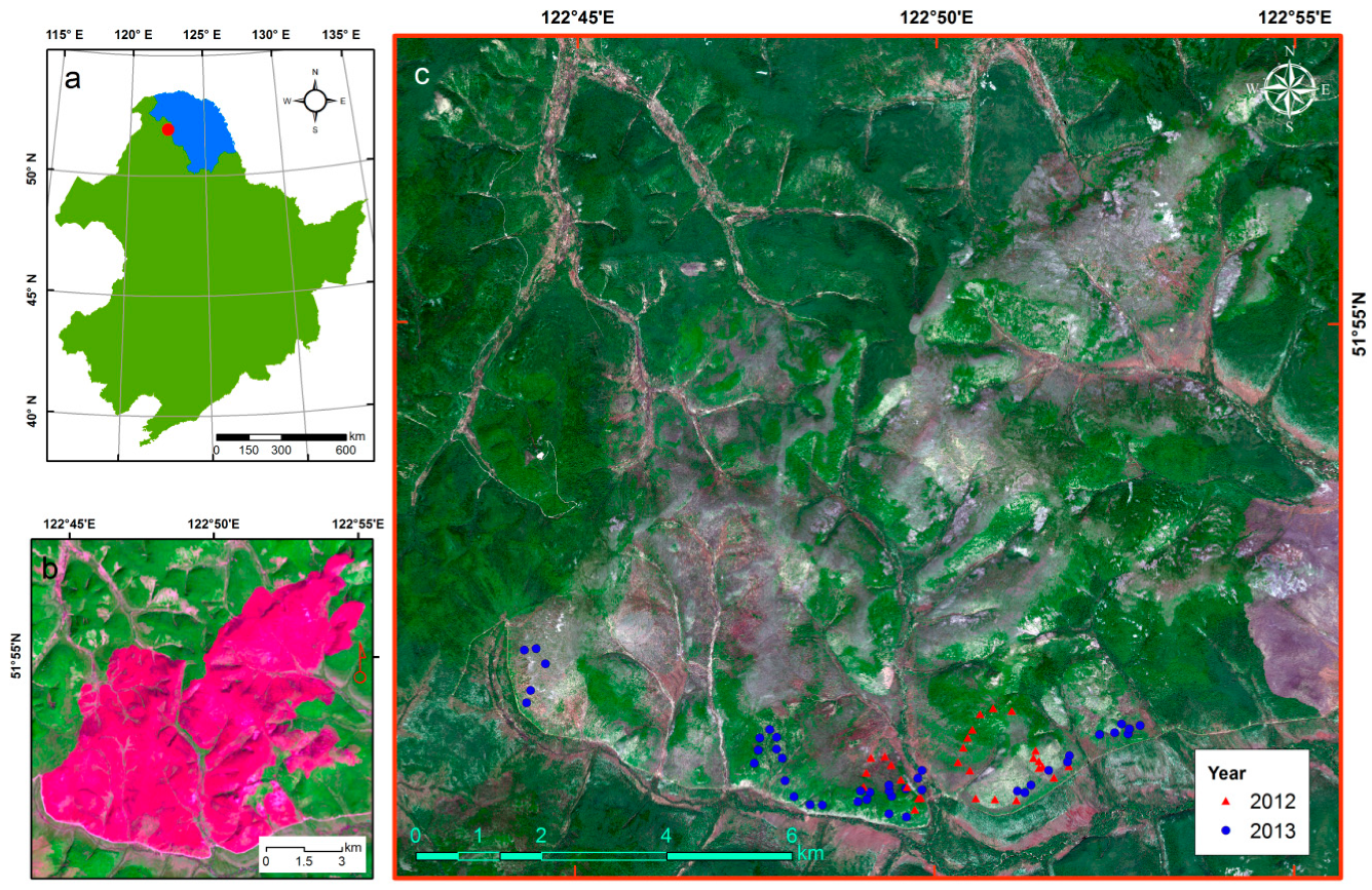 Remotesensing 11 00603 g001
