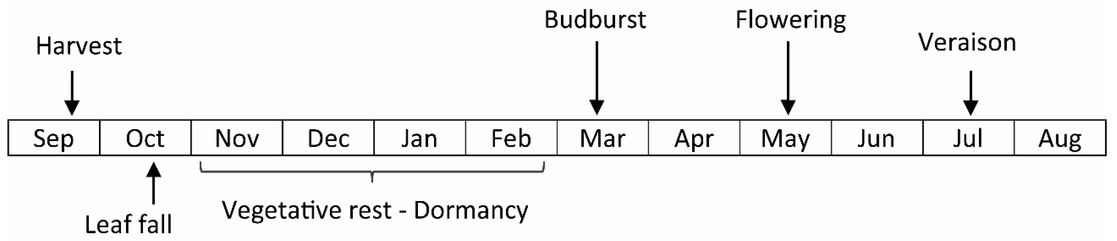 Remotesensing 11 00604 g002