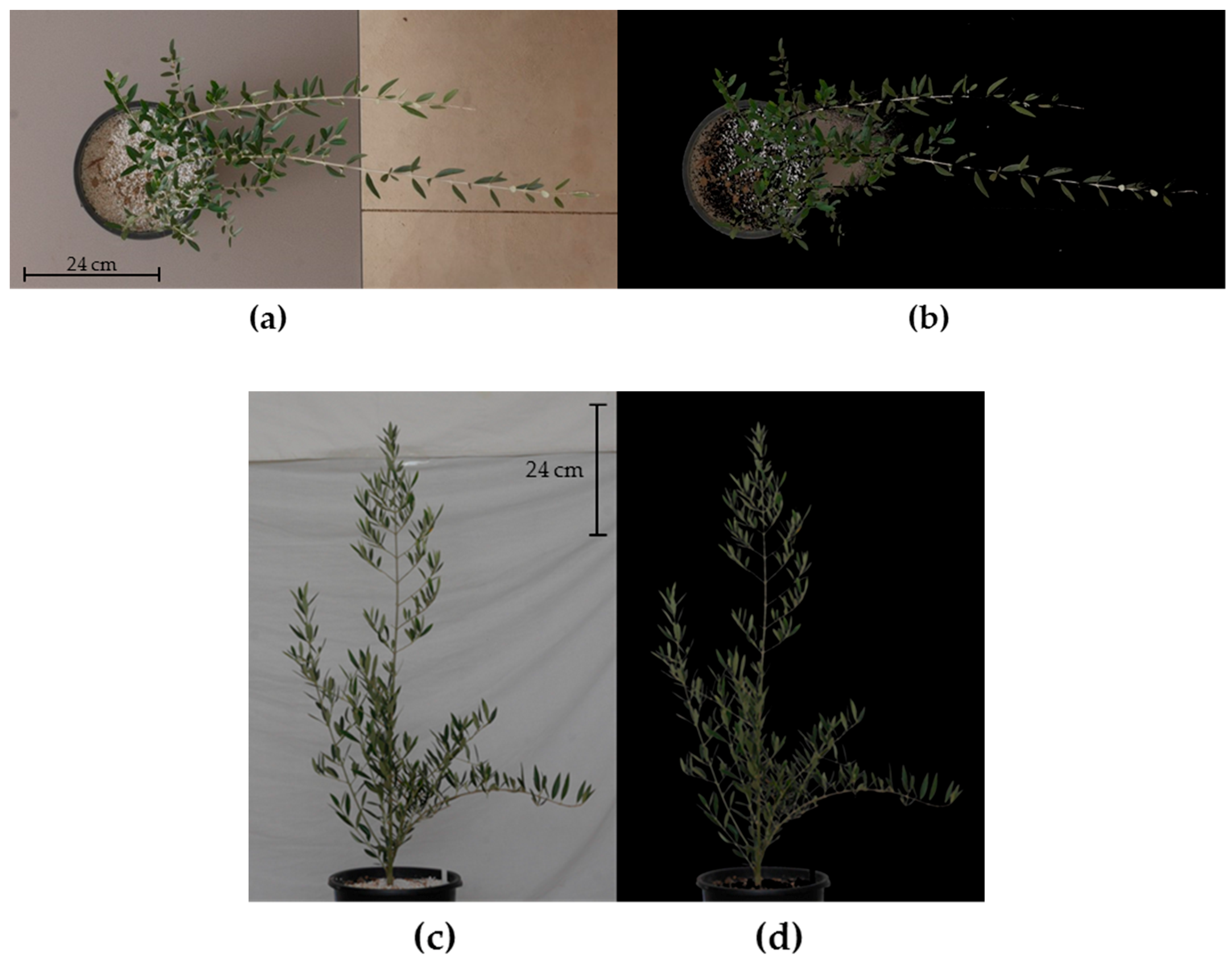 Remotesensing 11 00607 g002