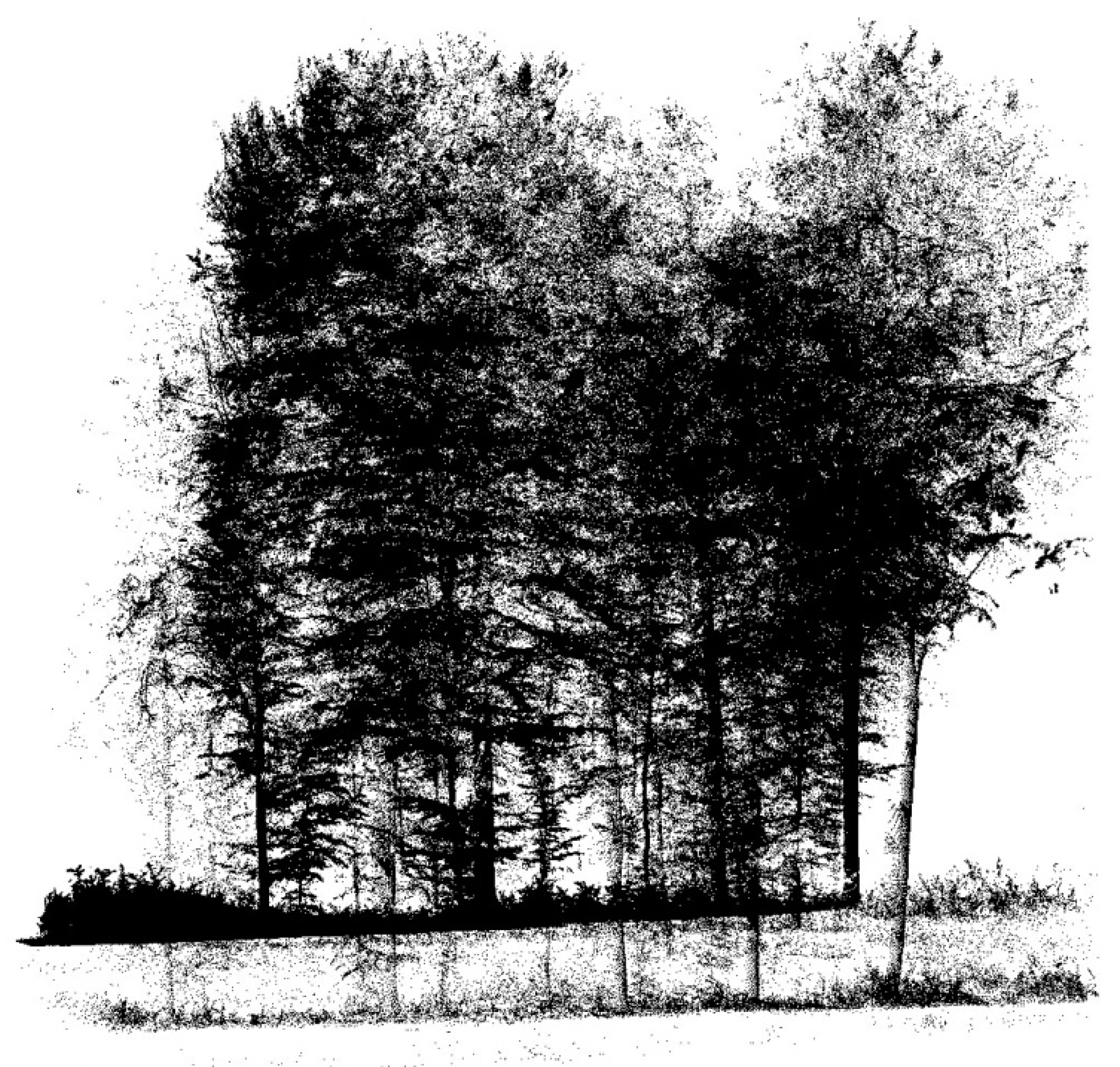 Remotesensing 11 00615 g011