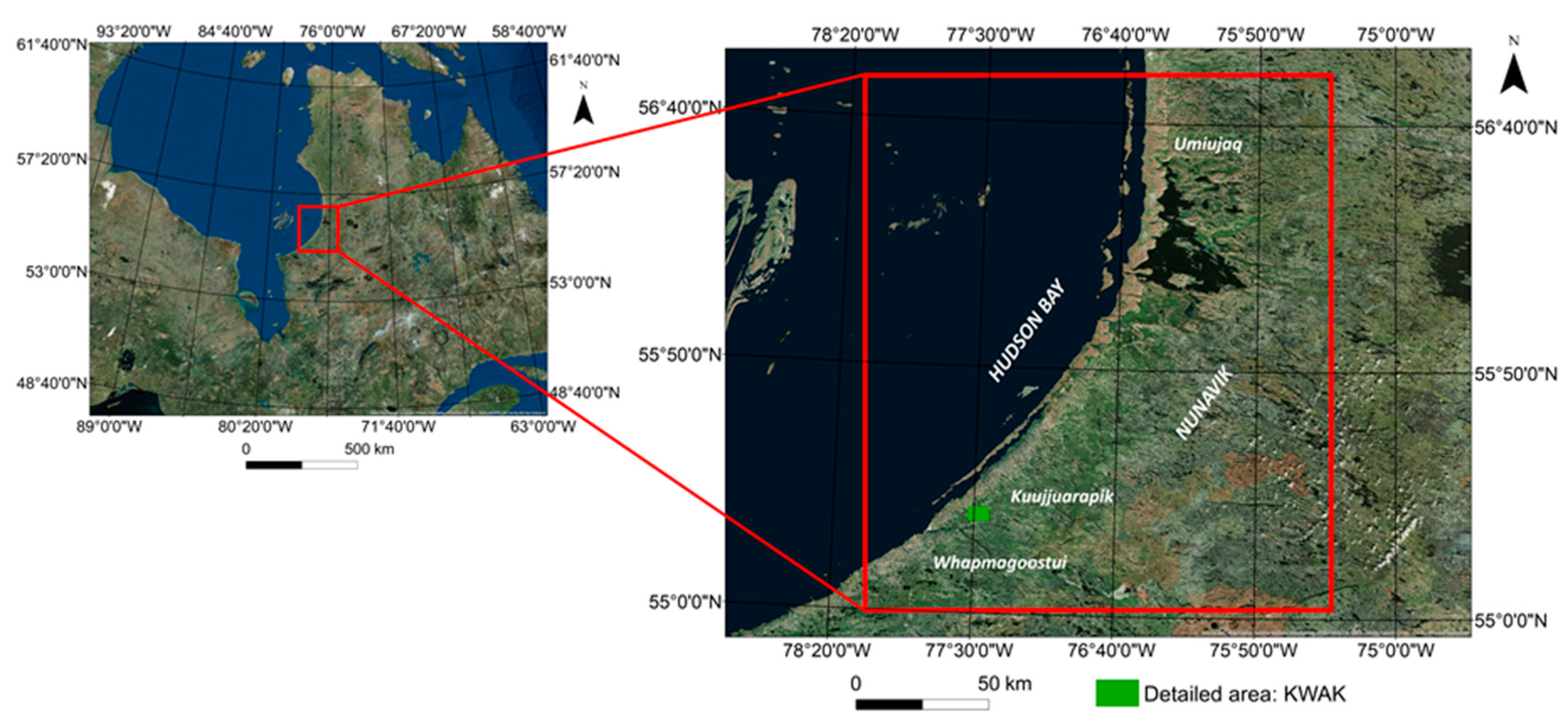 Remotesensing 11 00657 g001