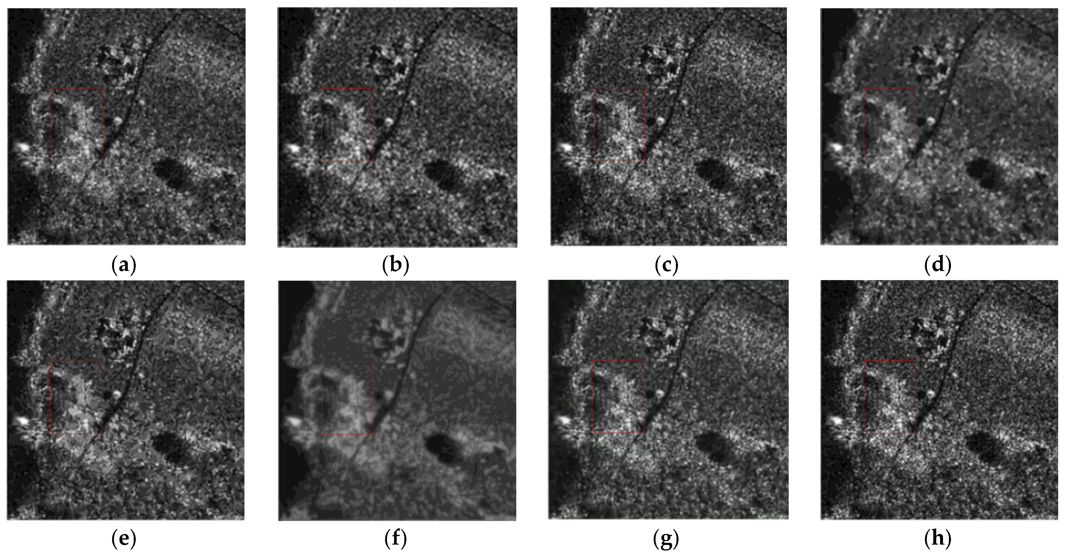 Remotesensing 11 00702 g009