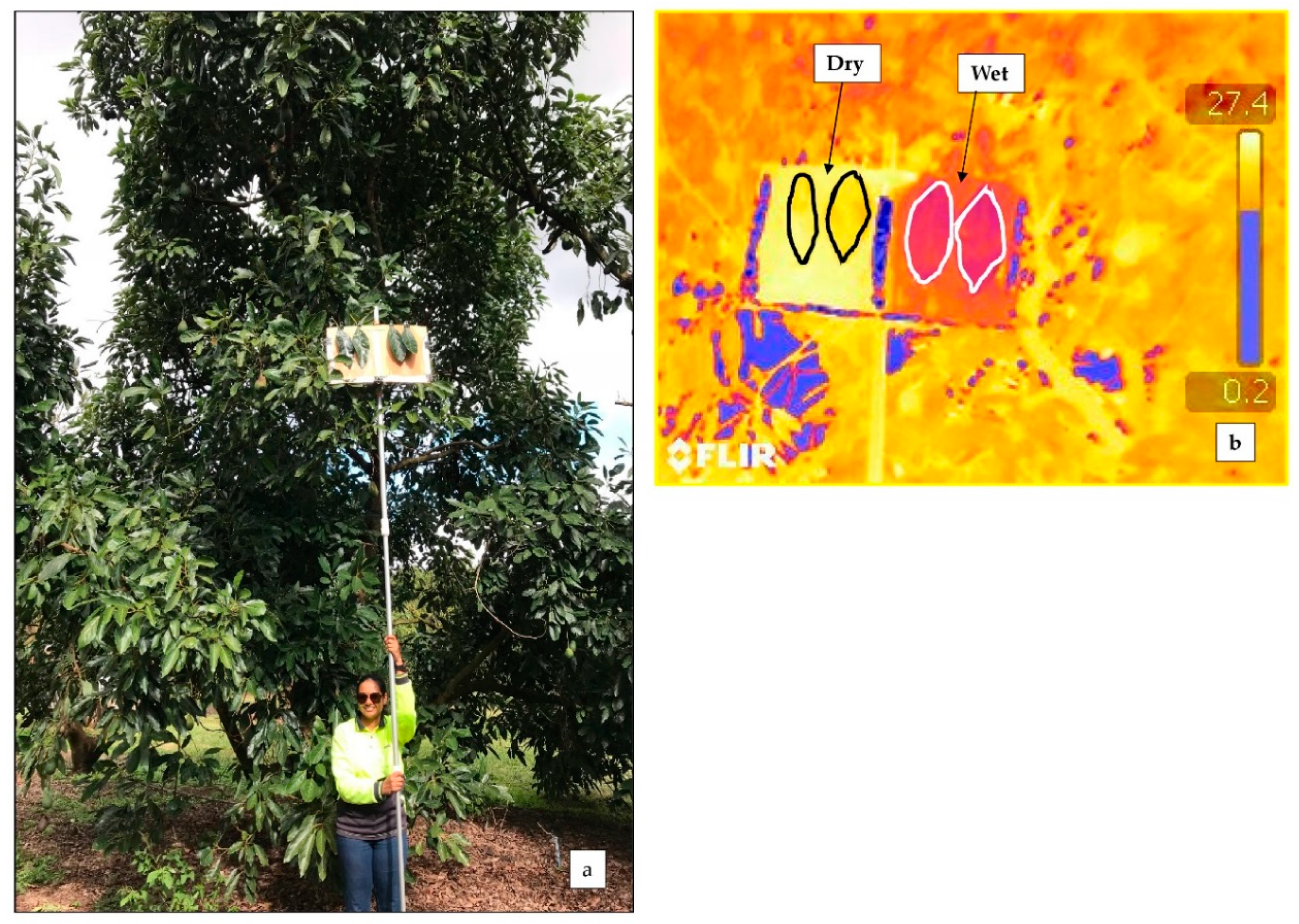 Remotesensing 11 00714 g002