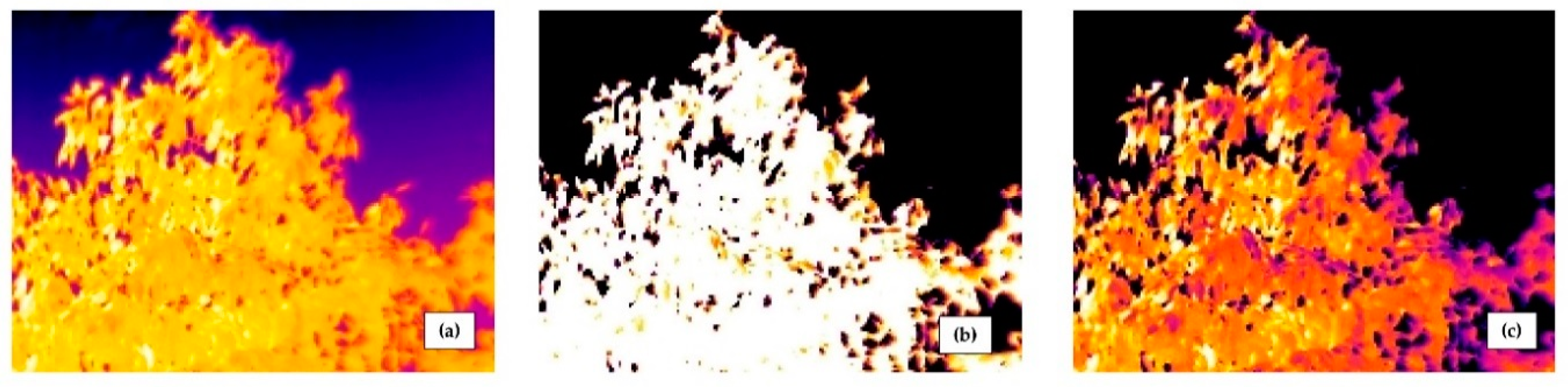 Remotesensing 11 00714 g008